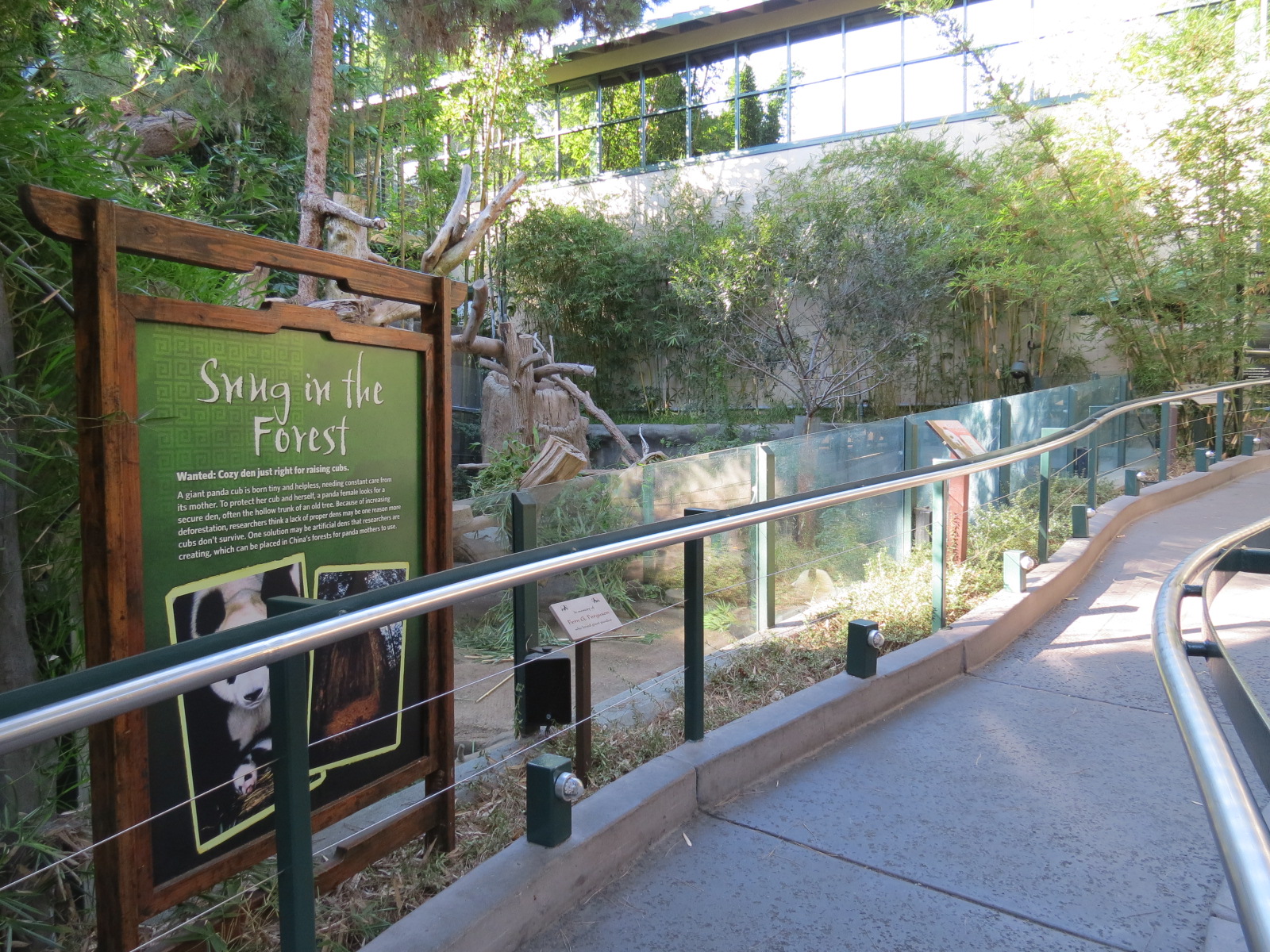 Panda Canyon - Panda Trek - Giant Panda Exhibit 2