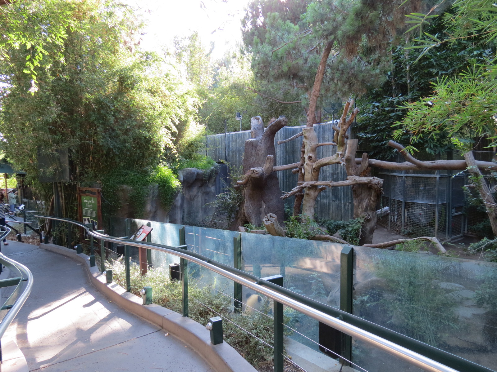 Panda Canyon - Panda Trek - Giant Panda Exhibit 2