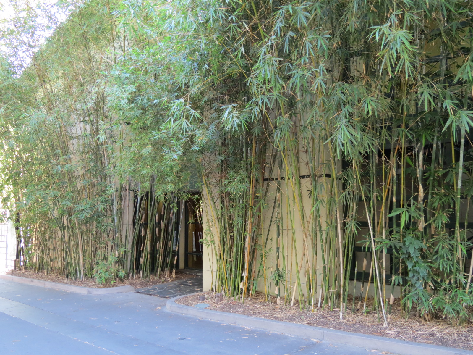 Panda Canyon - Panda Trek - Offices of Giant Panda Conservation