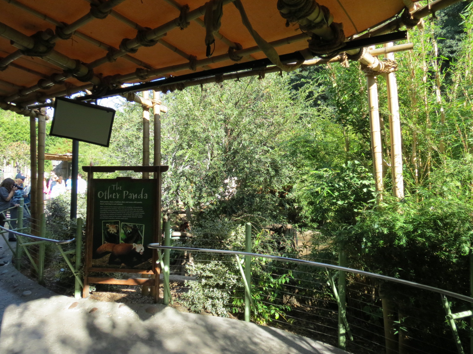 Panda Canyon - Panda Trek - Red Panda Exhibit