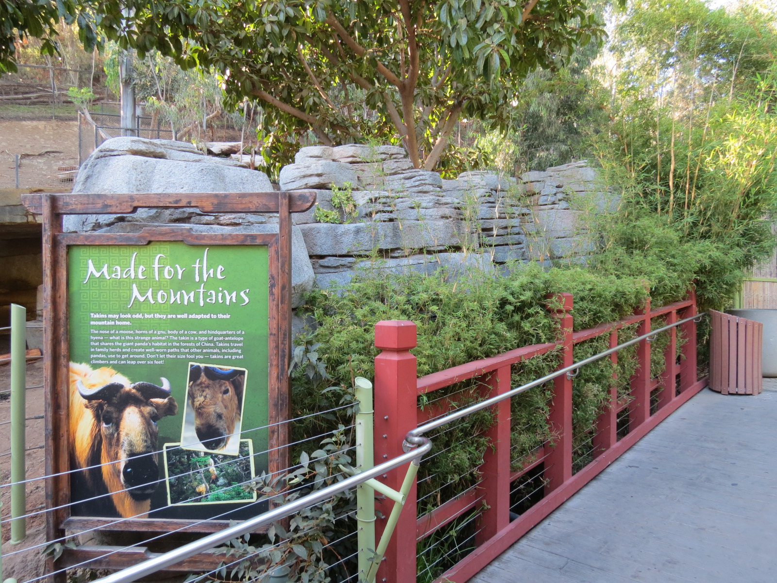 Panda Canyon - Panda Trek - Sichuan Takin Exhibit