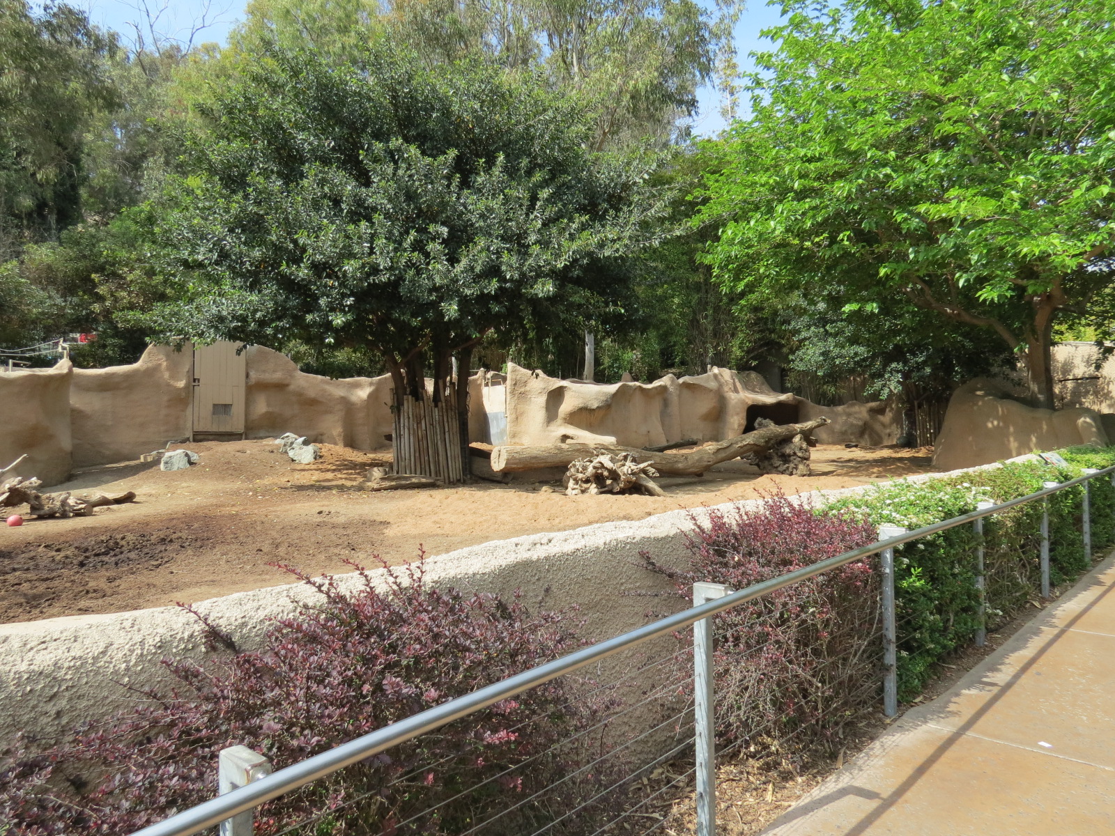 Panda Canyon - Visayan Warty Pig Exhibit