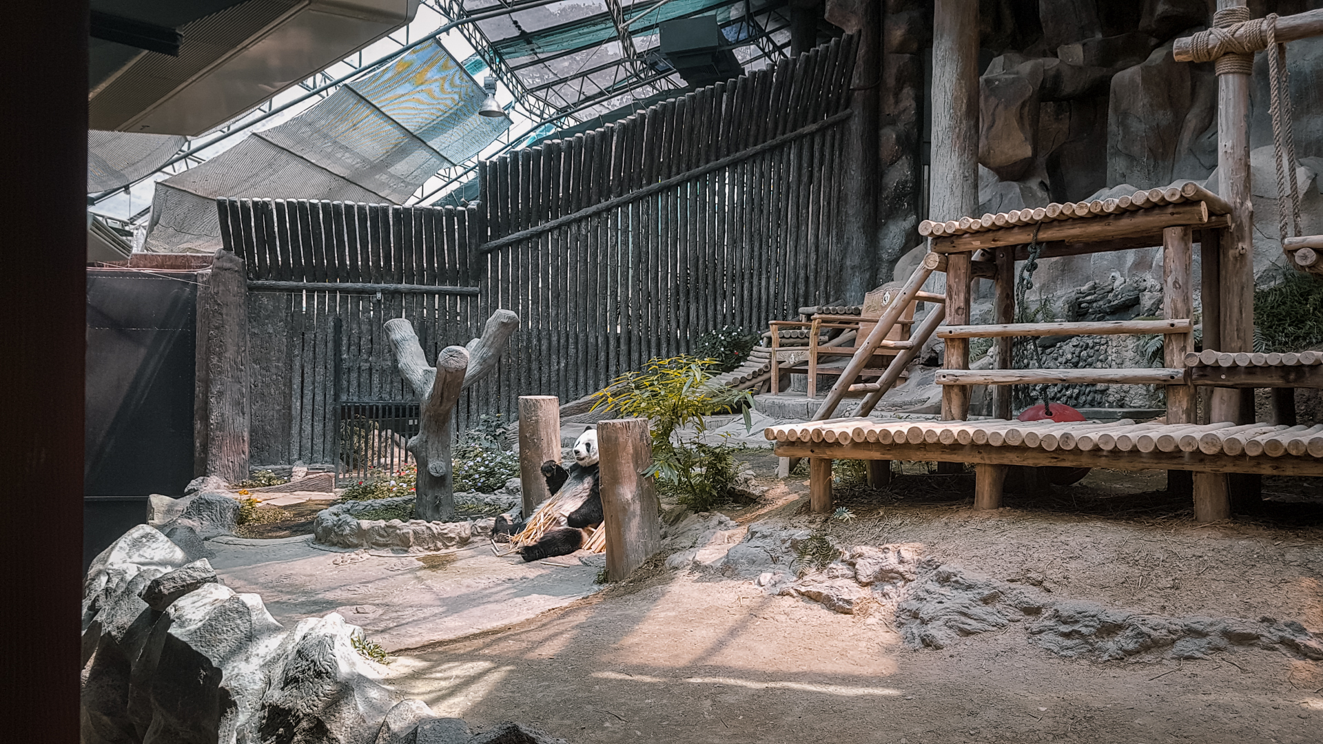 Panda enclosure 2
