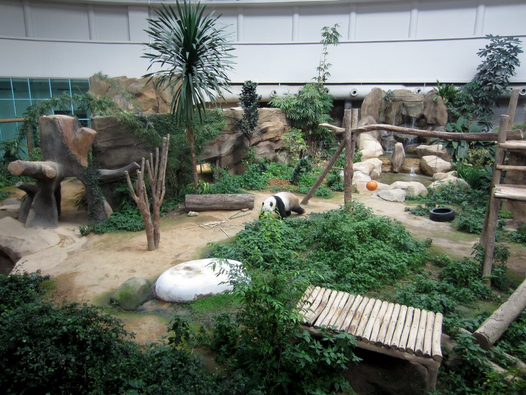Panda Enclosure