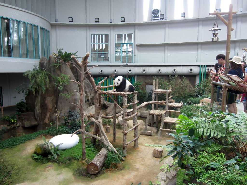 Panda Enclosure