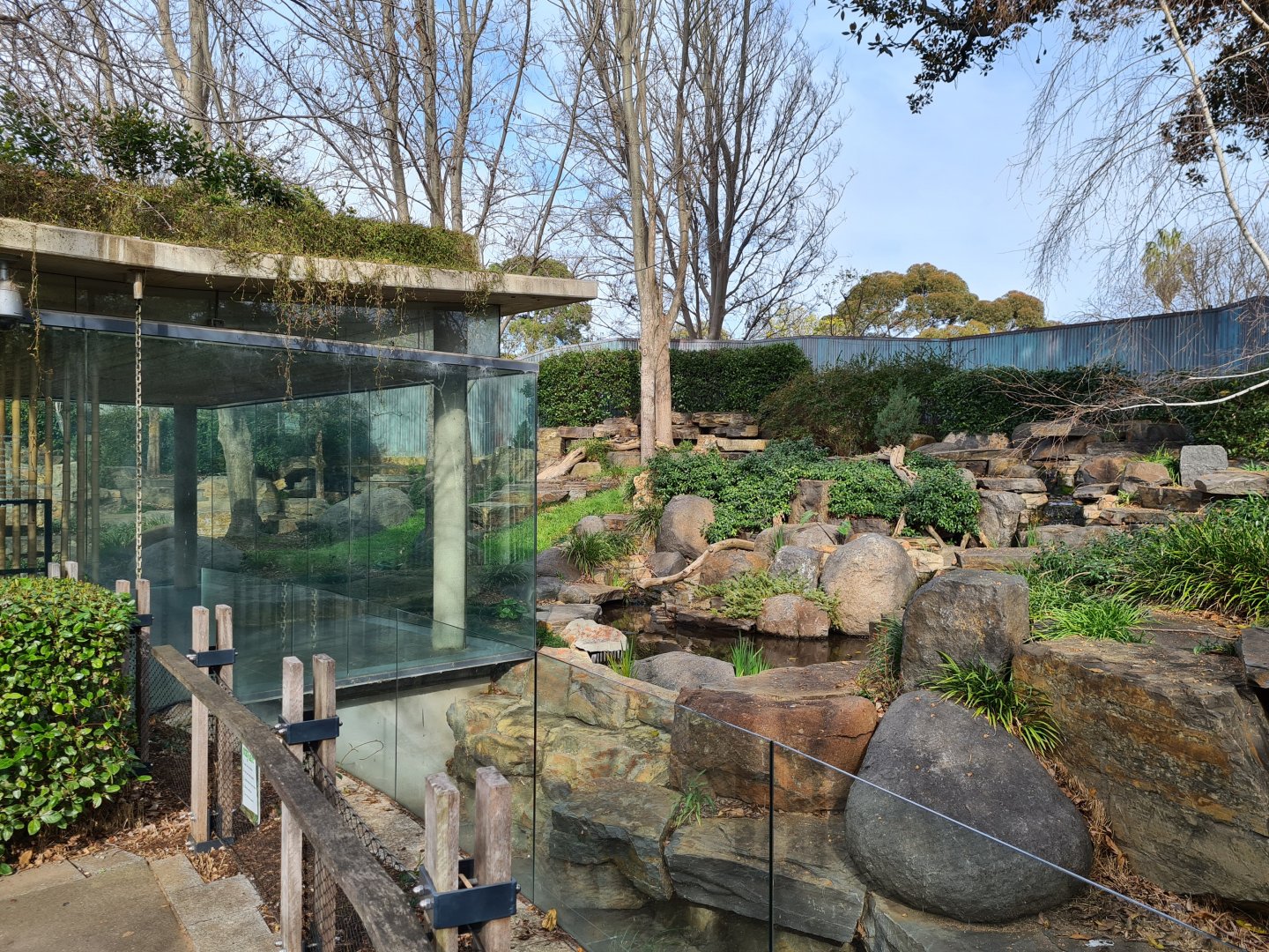 Panda Exhibit (usually Funi's yard)