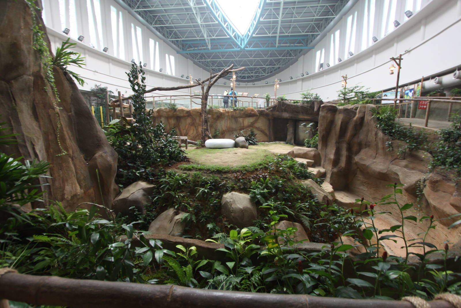 Panda exhibit