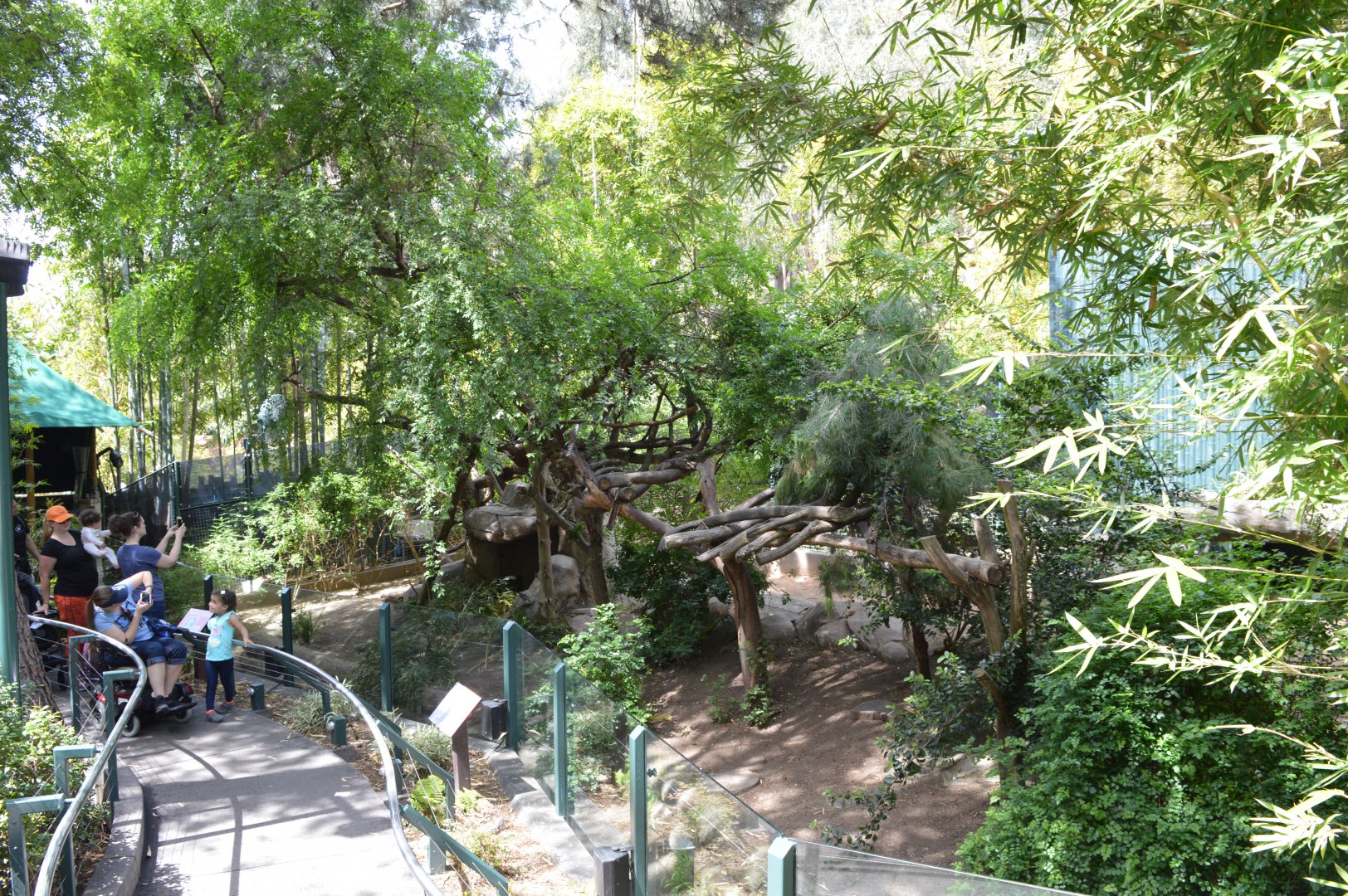 Panda Exhibit