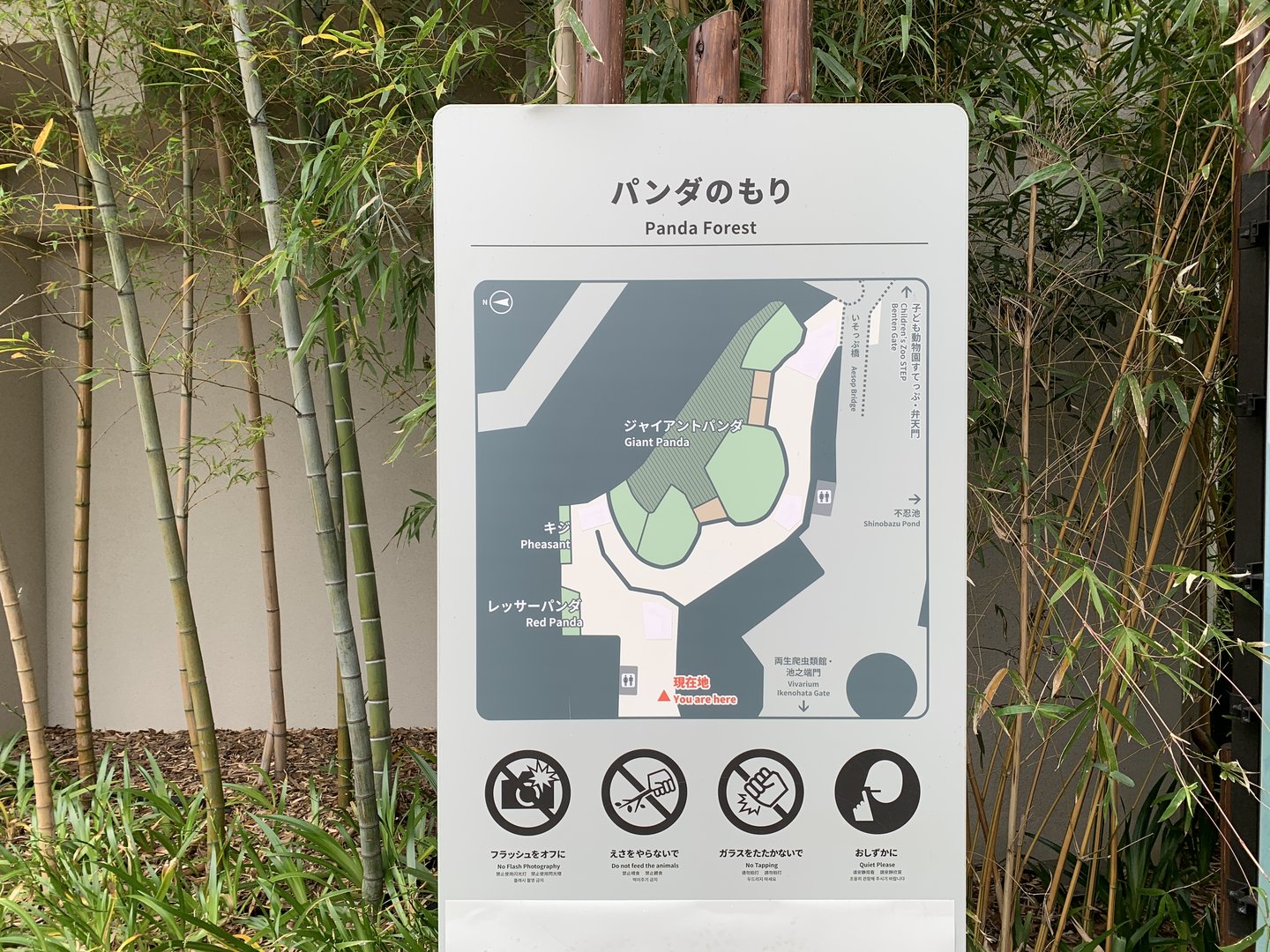 Panda Forest Map Sign