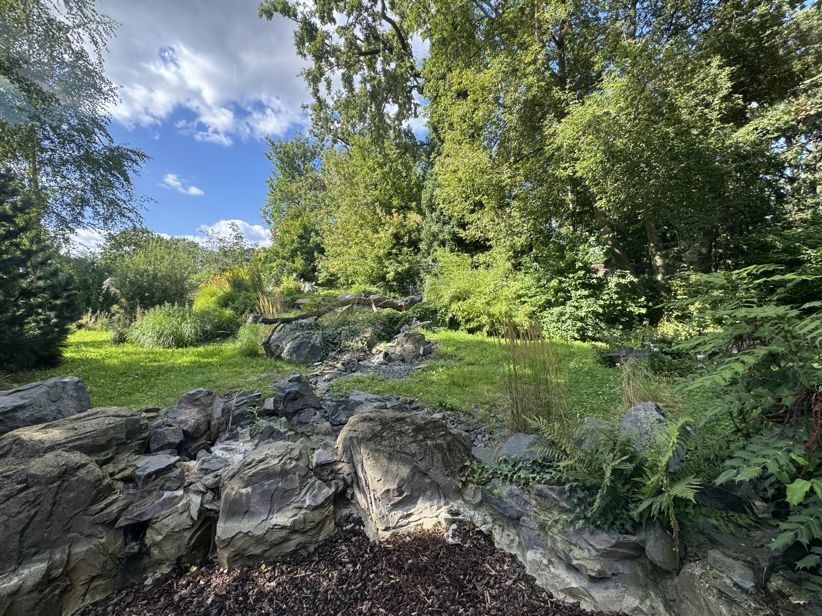 Panda Garden - Outdoor Giant Panda exhibit #1