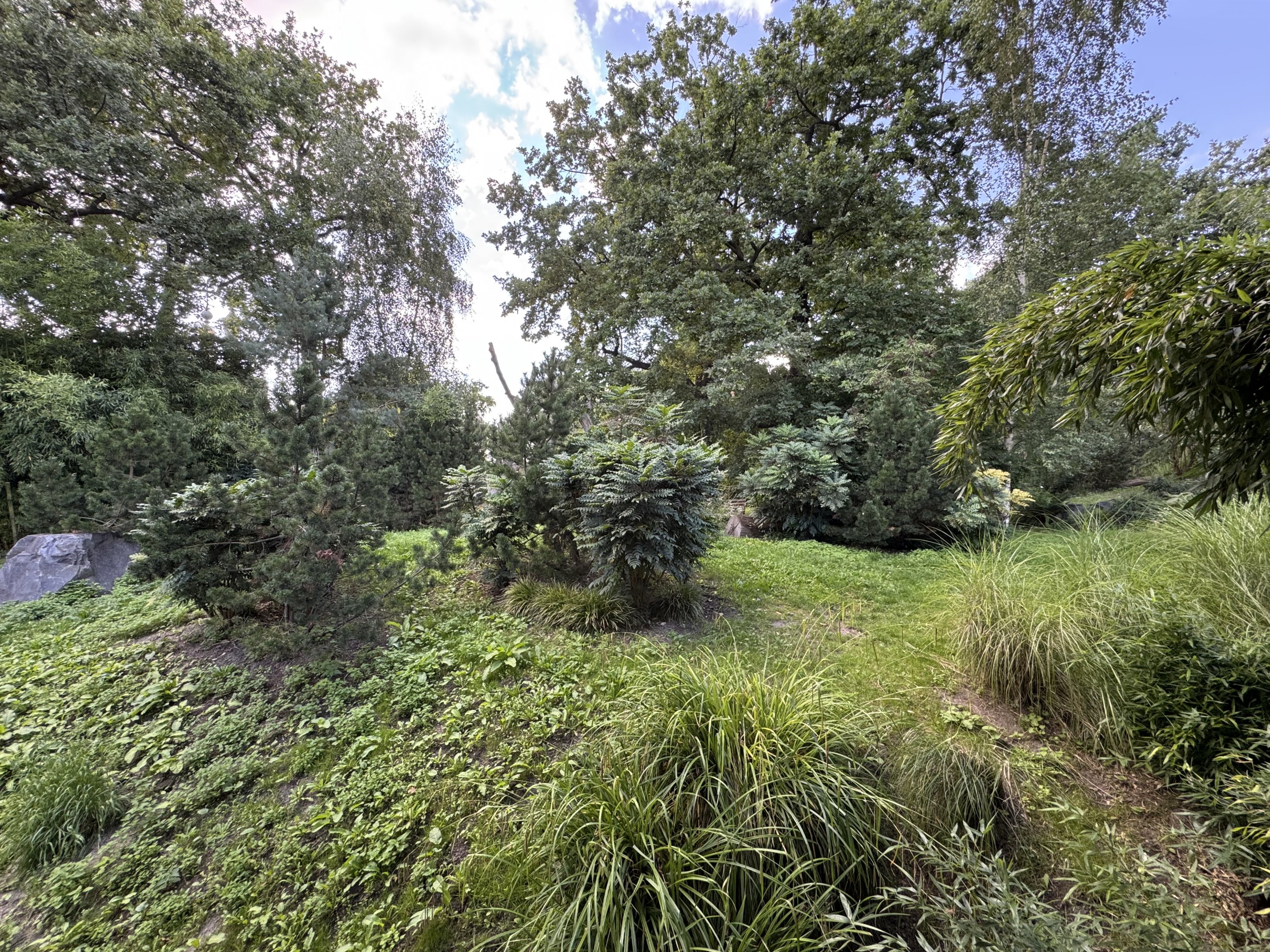 Panda Garden - Outdoor Giant Panda exhibit #3