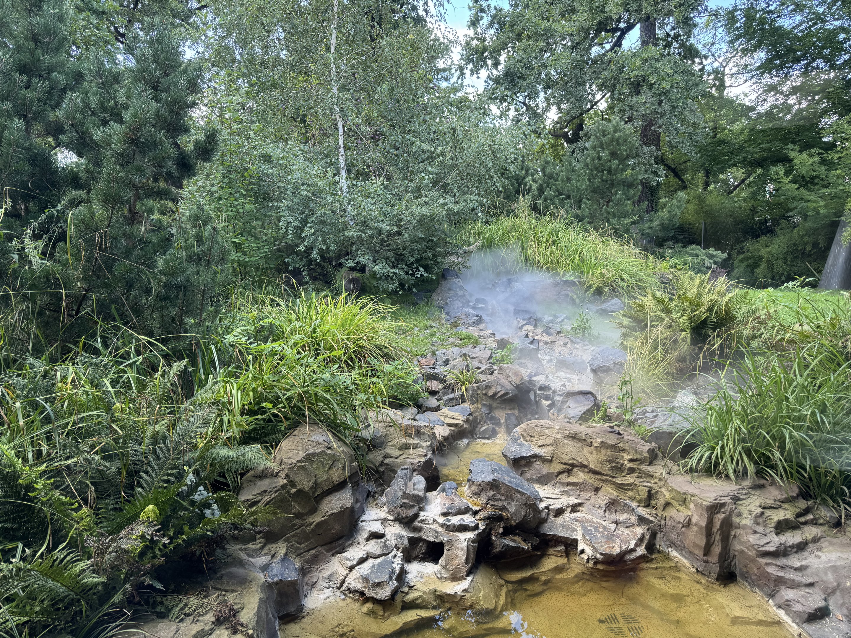 Panda Garden - Outdoor Giant Panda exhibit #4