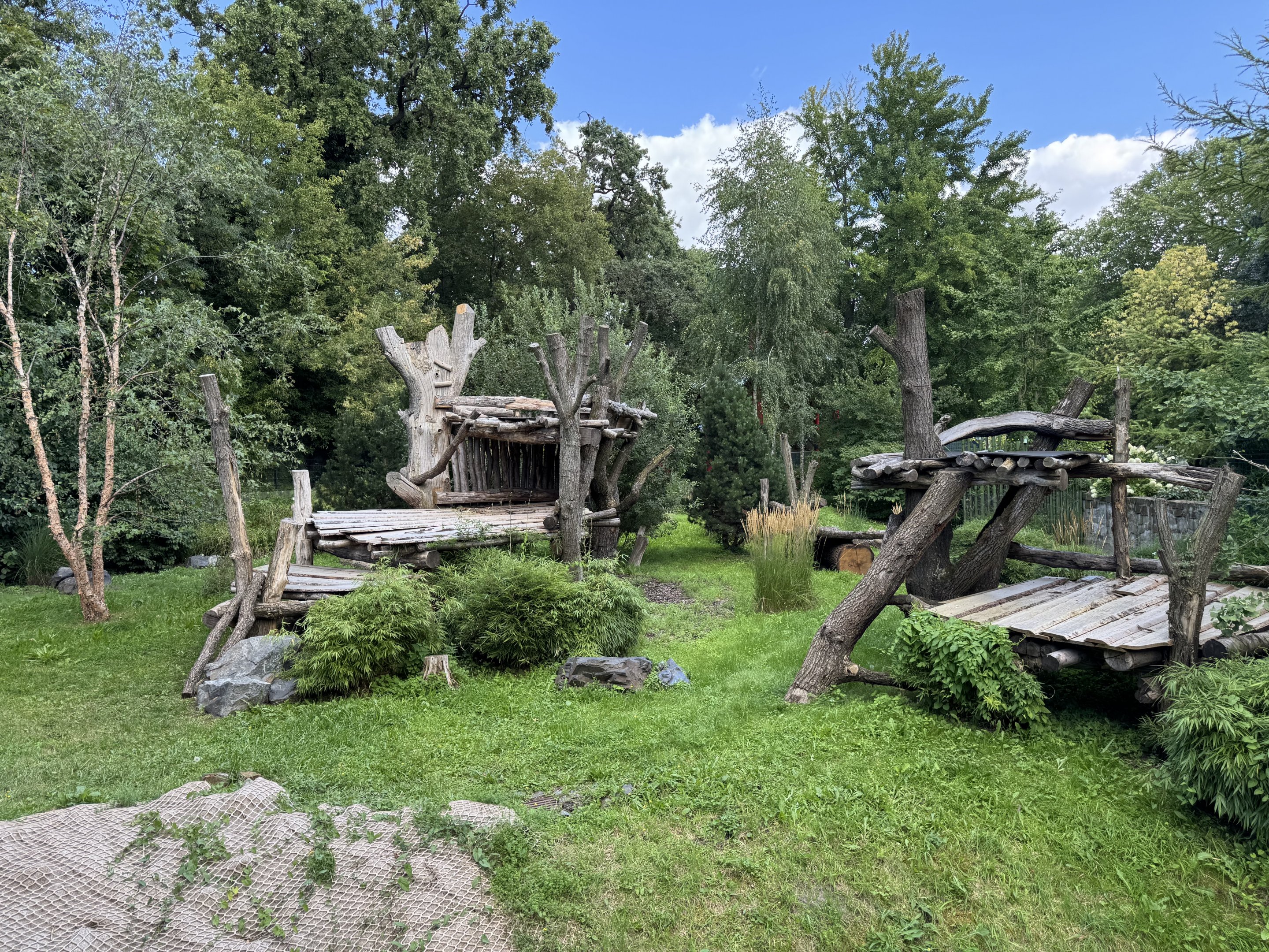 Panda Garden - Outdoor Giant Panda exhibit #5