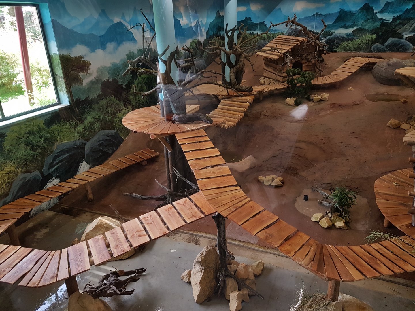 Panda-indoor-enclosure