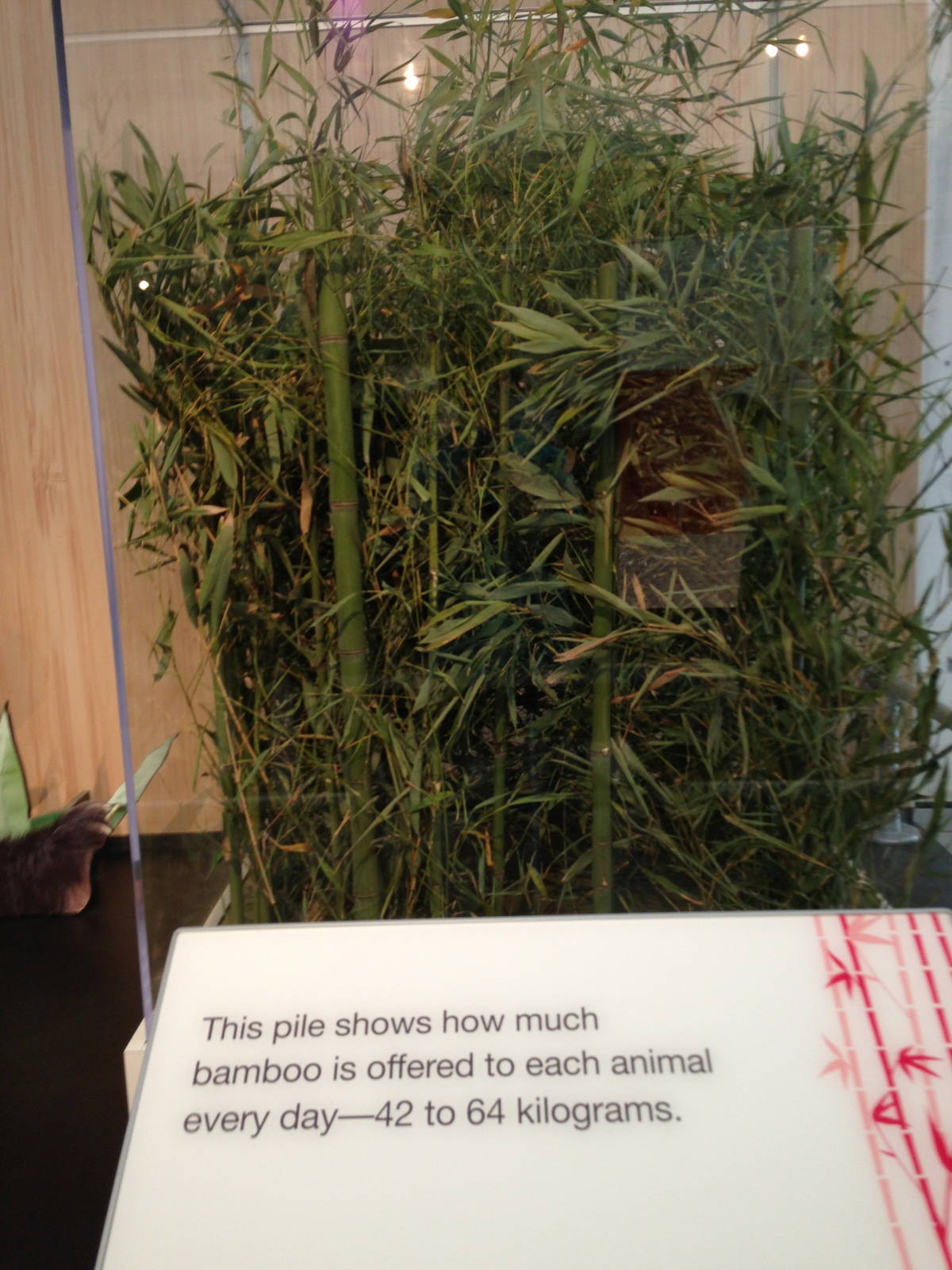 Panda Interpretive Centre