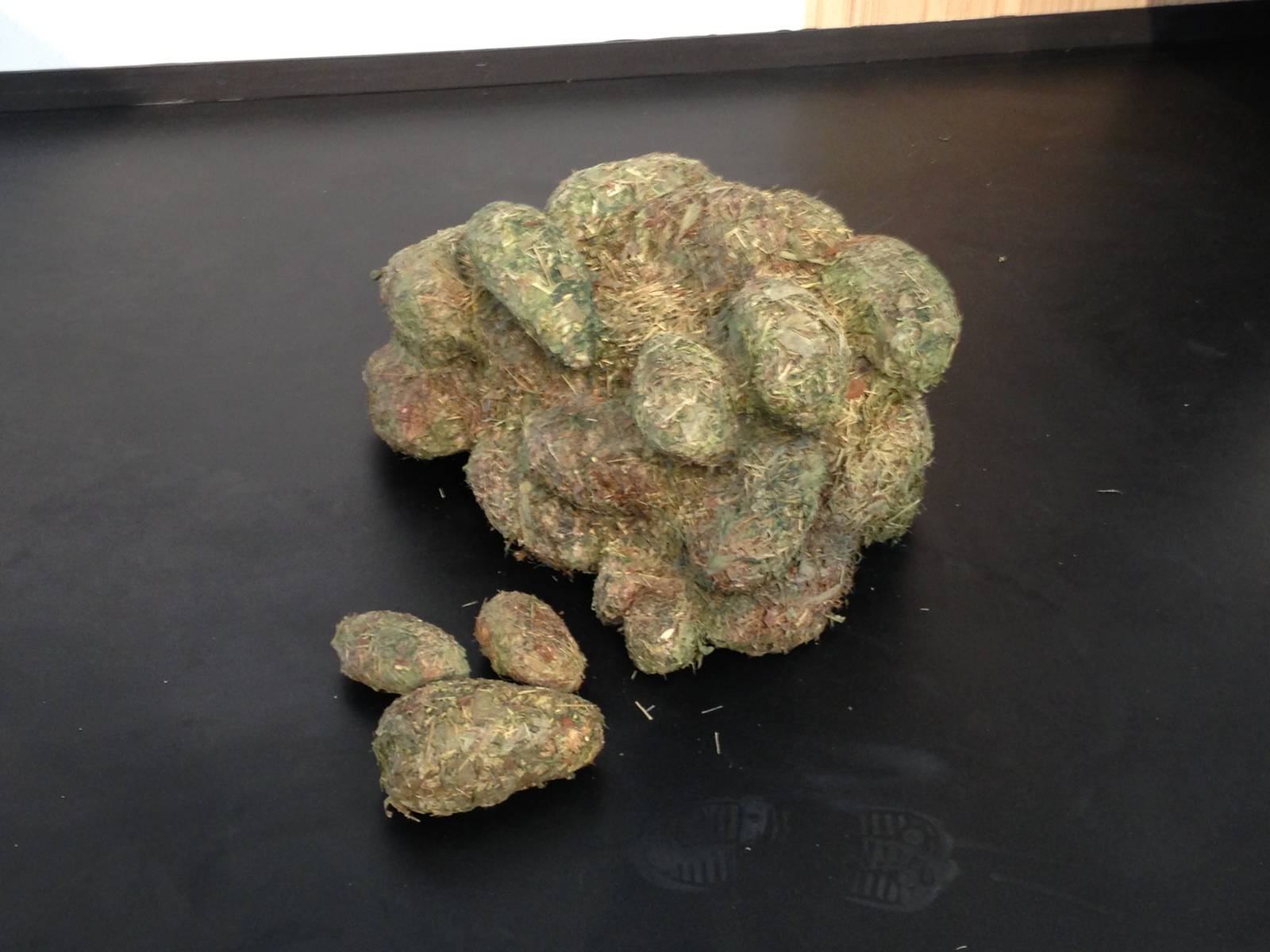 Panda Interpretive Centre