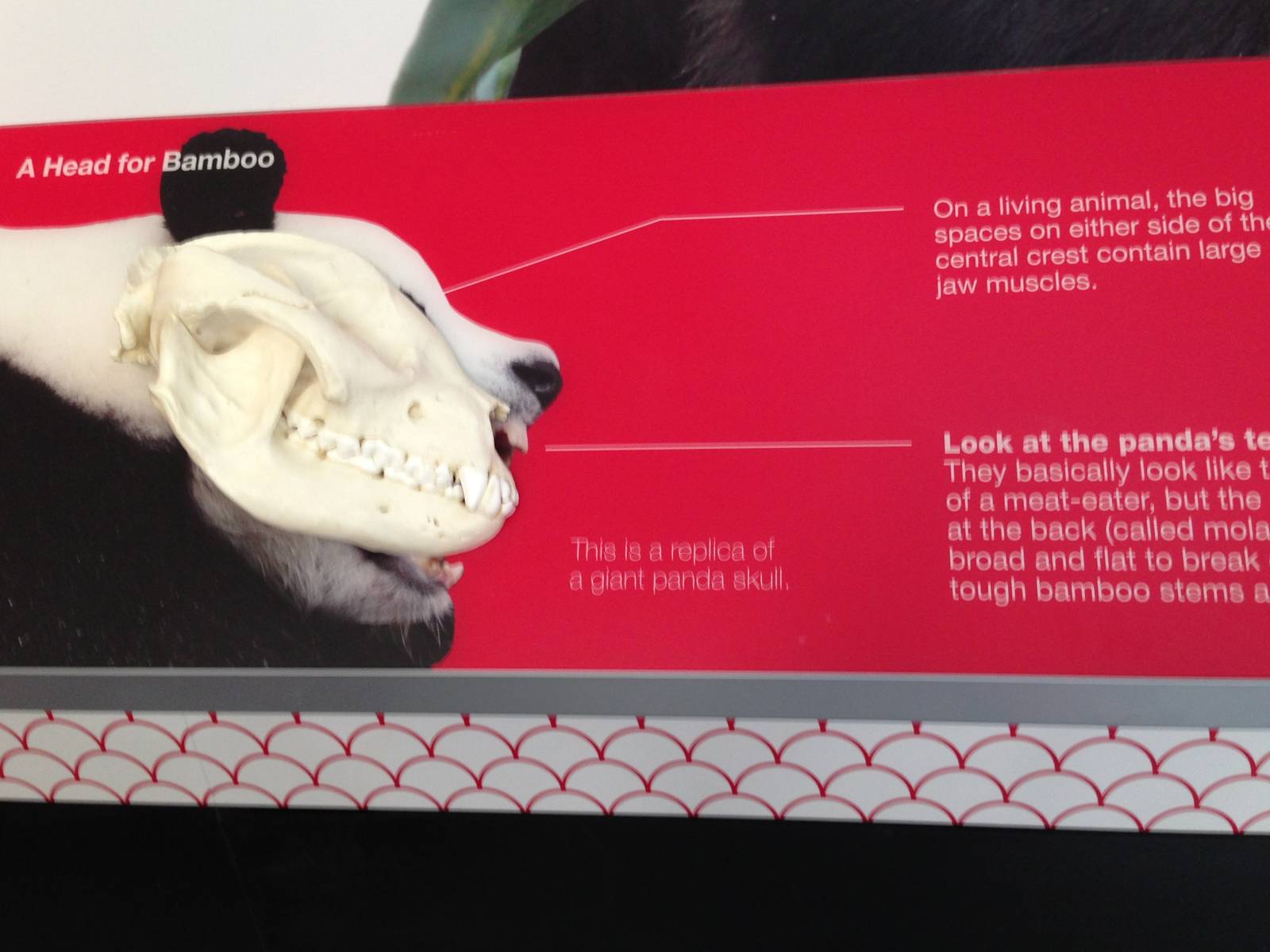 Panda Interpretive Centre