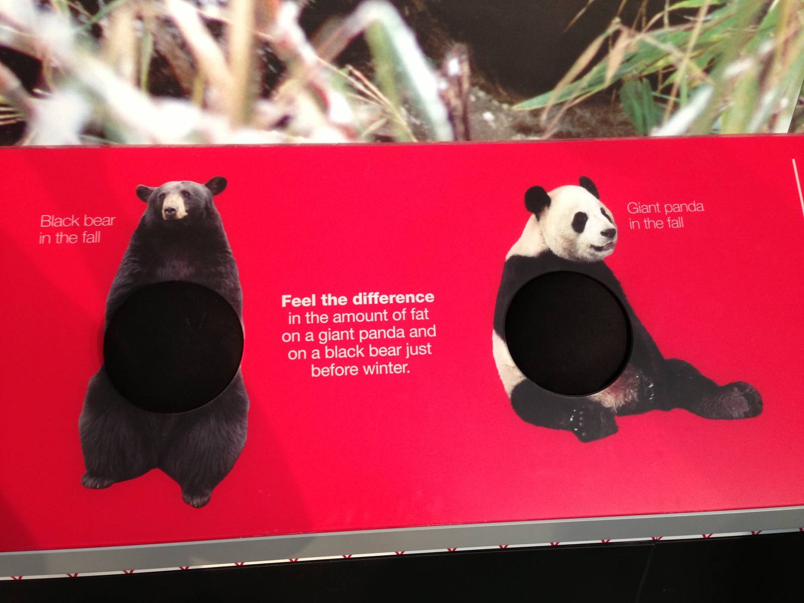 Panda Interpretive Centre