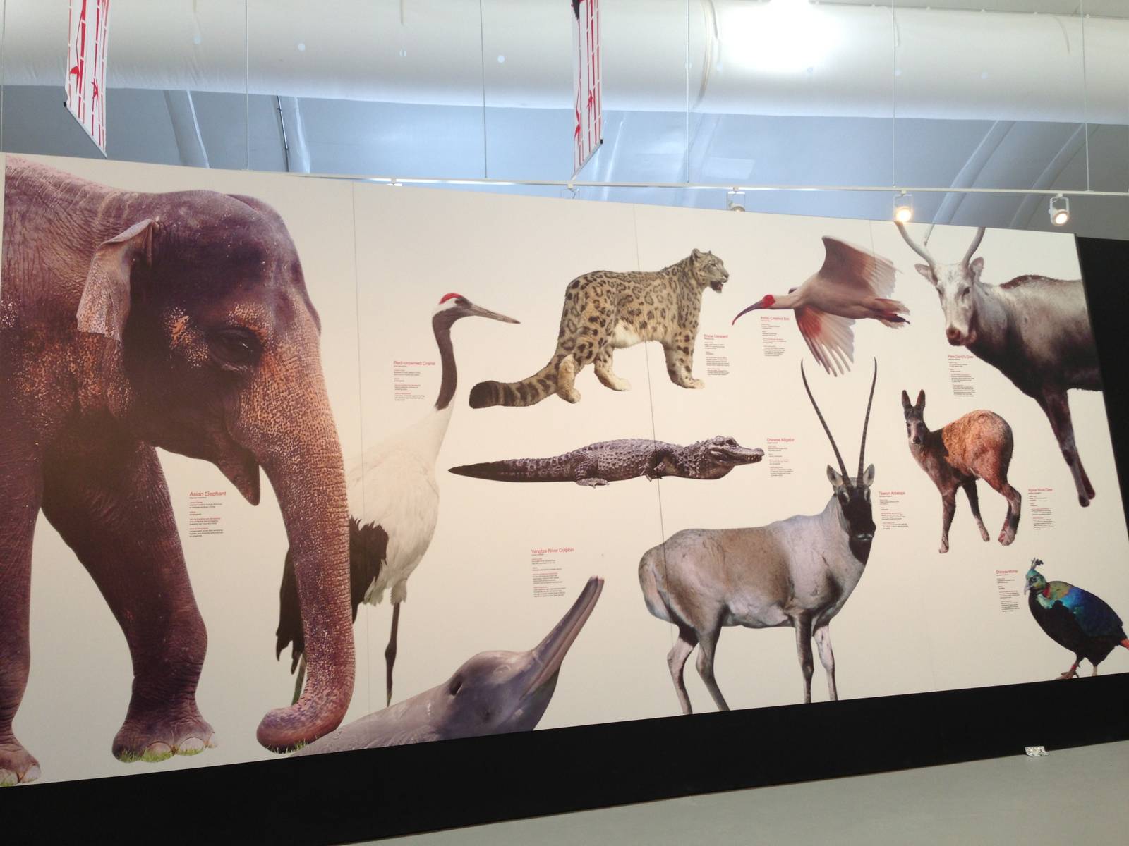 Panda Interpretive Centre