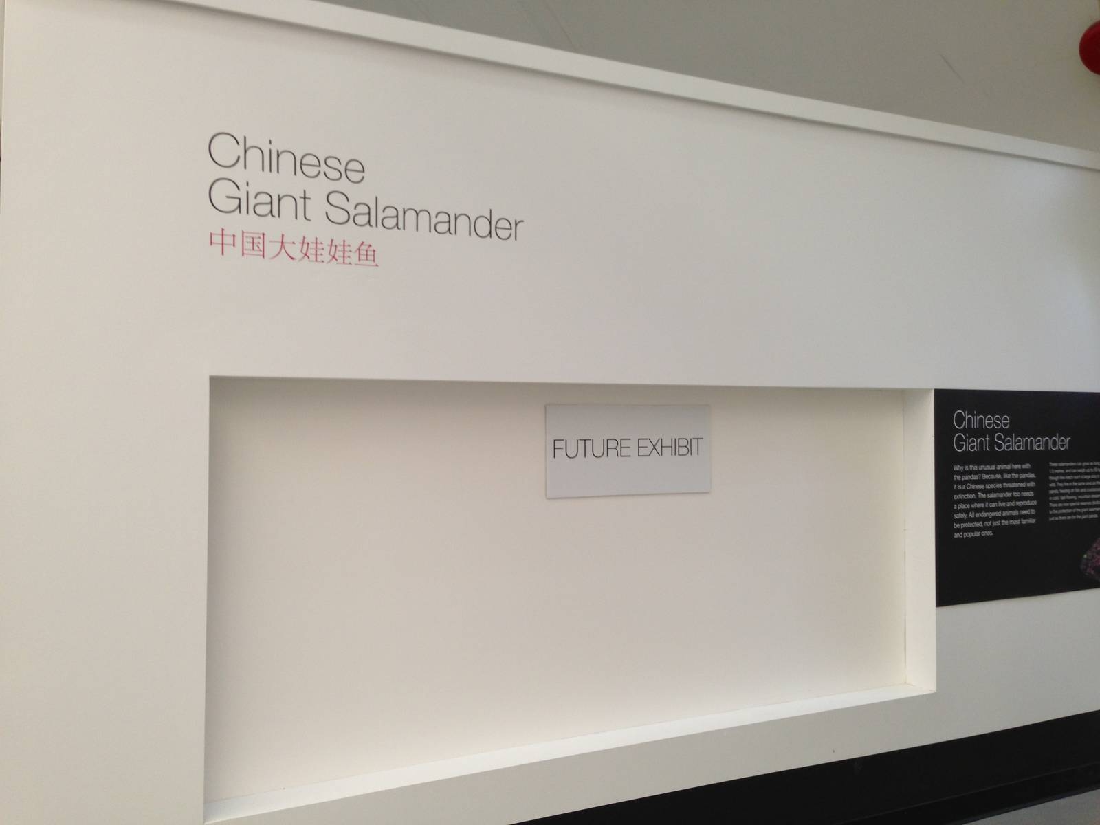 Panda Interpretive Centre