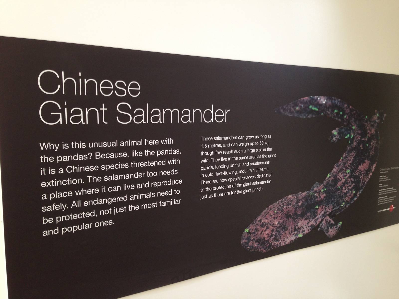 Panda Interpretive Centre