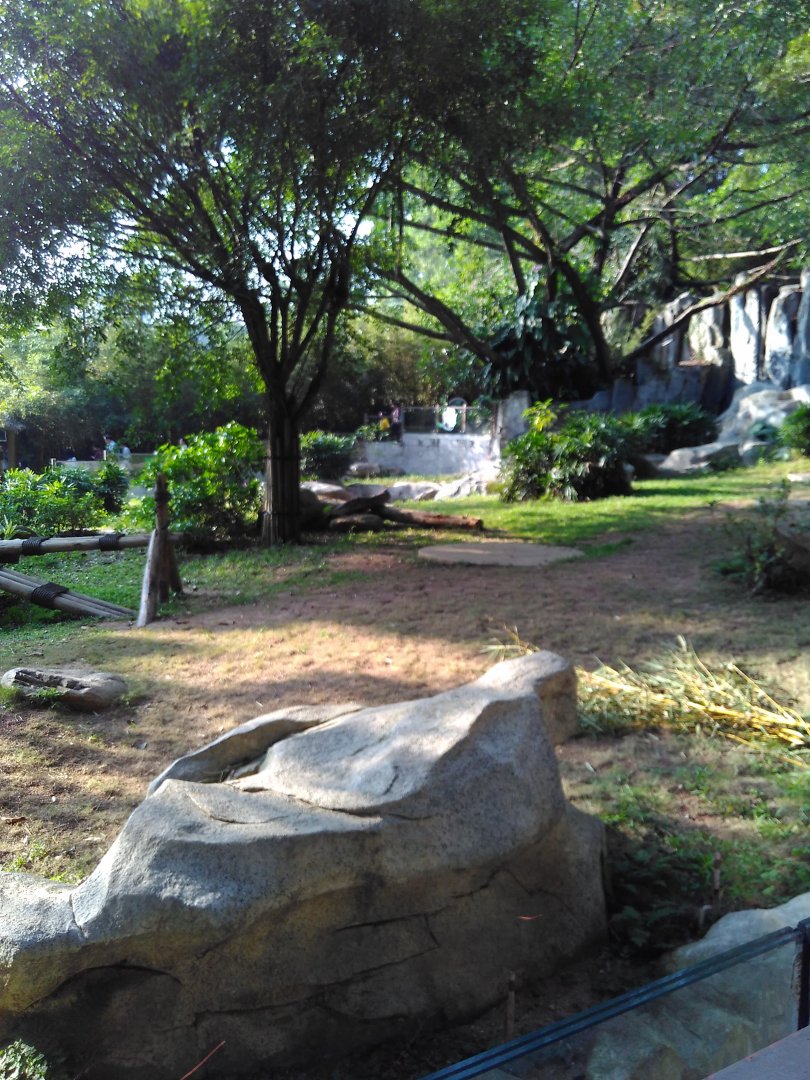 Panda outdoor exhibit