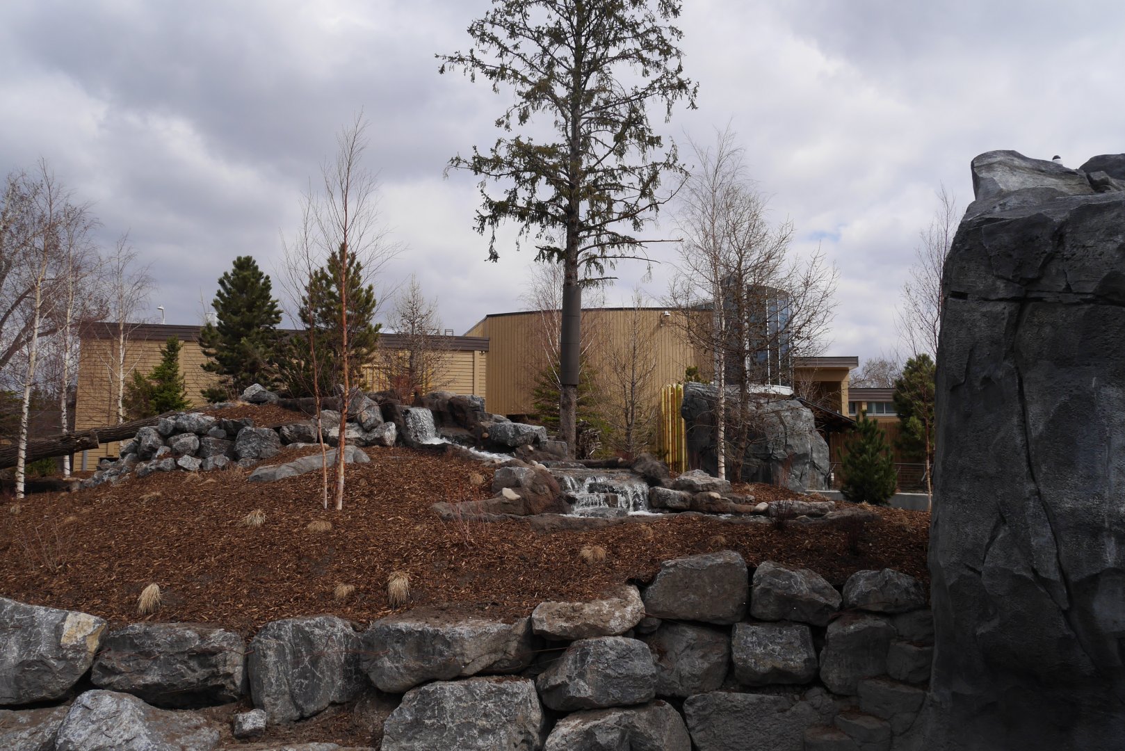 Panda Passage Giant Panda Outdoor Exhibit