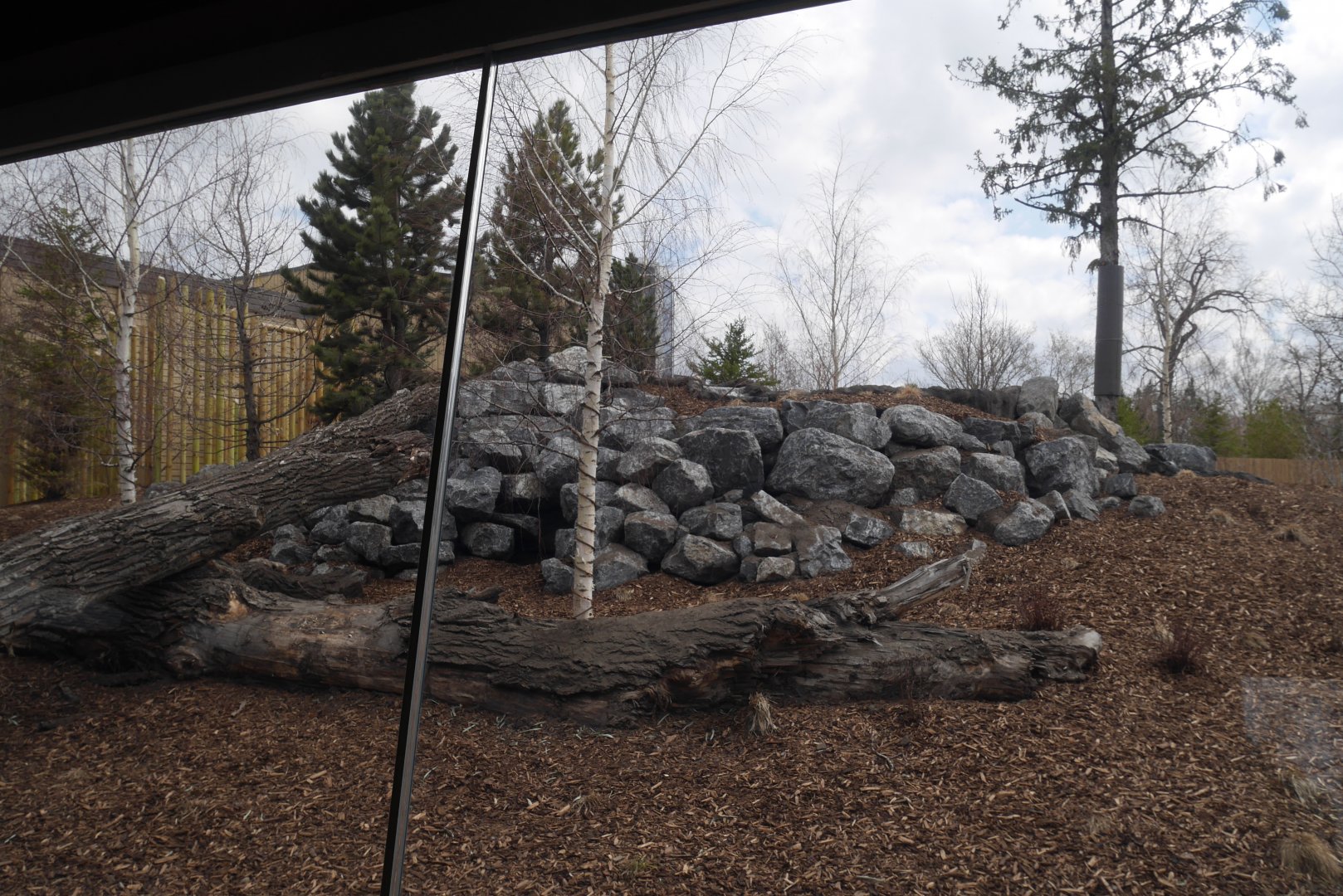 Panda Passage Giant Panda Outdoor Exhibit