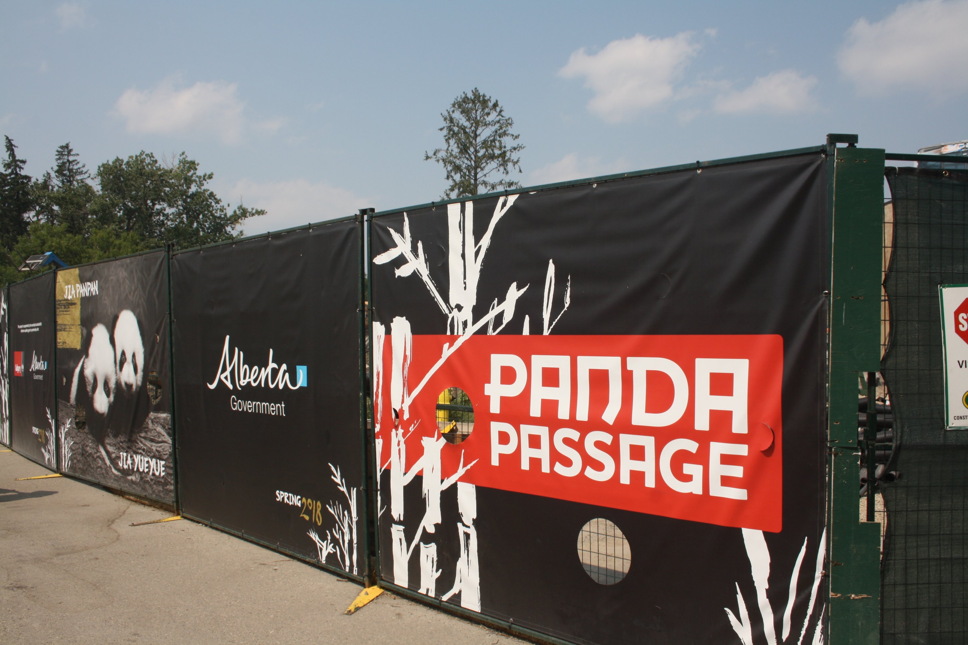 Panda Passage (New in 2018)