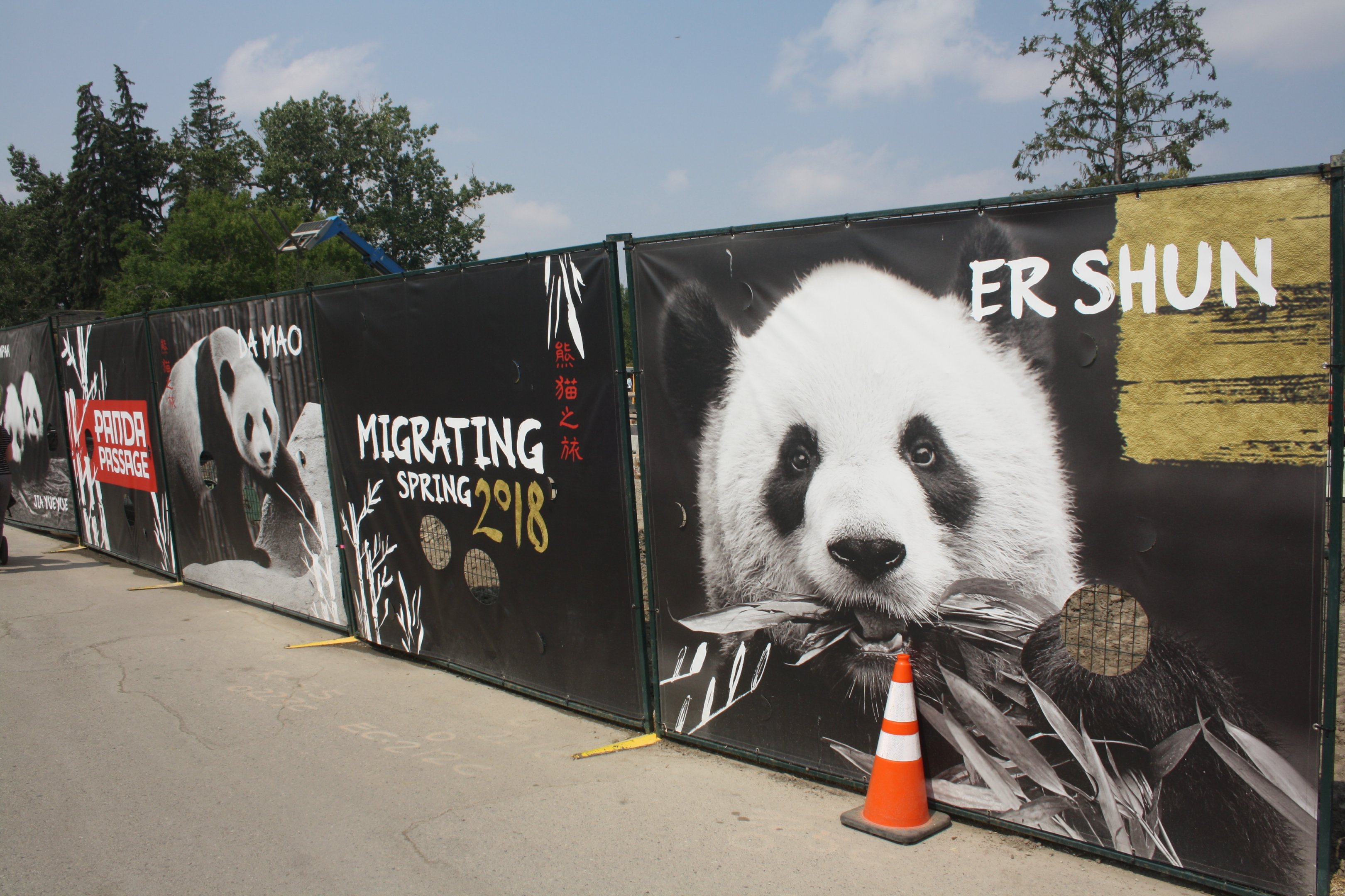 Panda Passage (New in 2018)