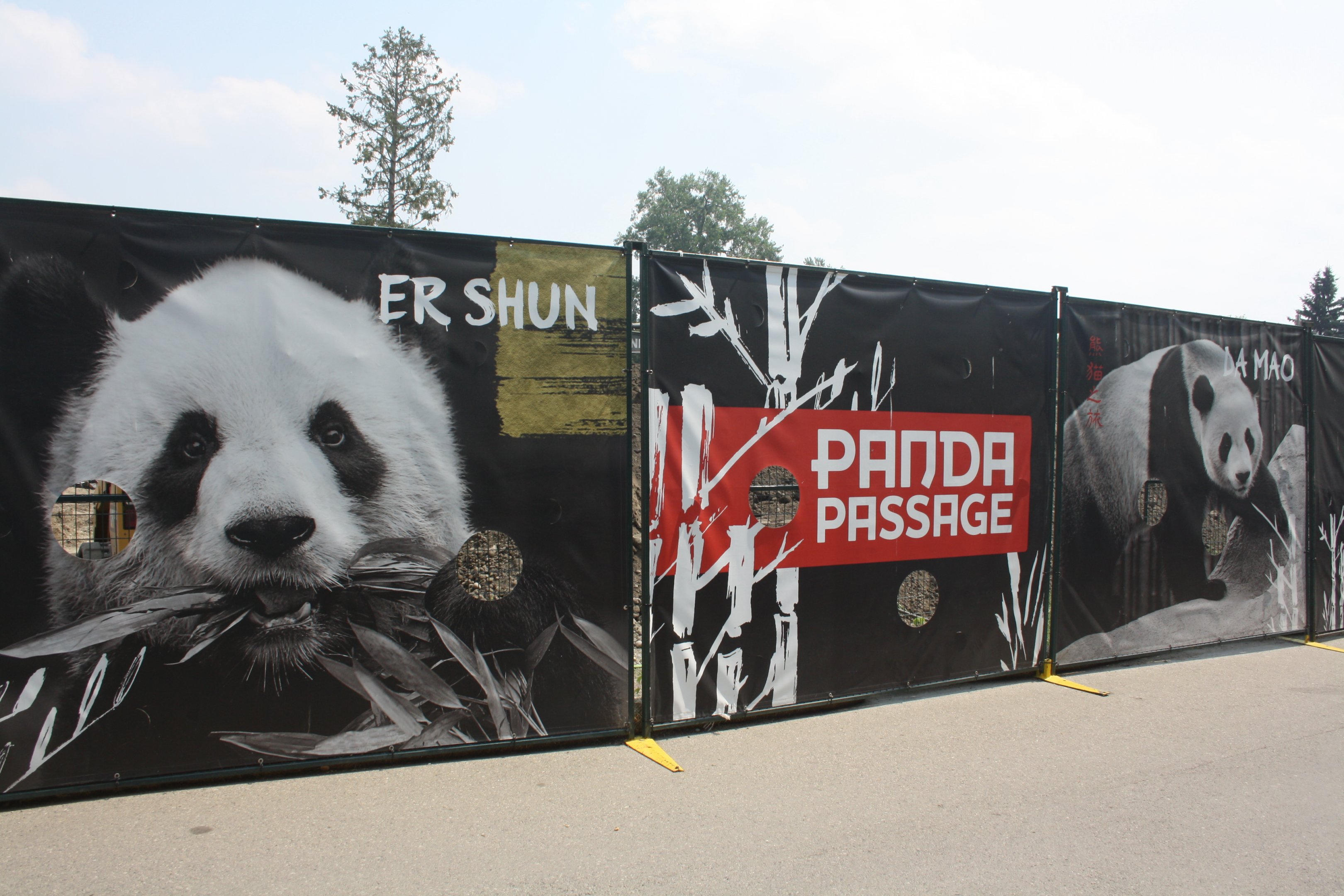 Panda Passage (New in 2018)