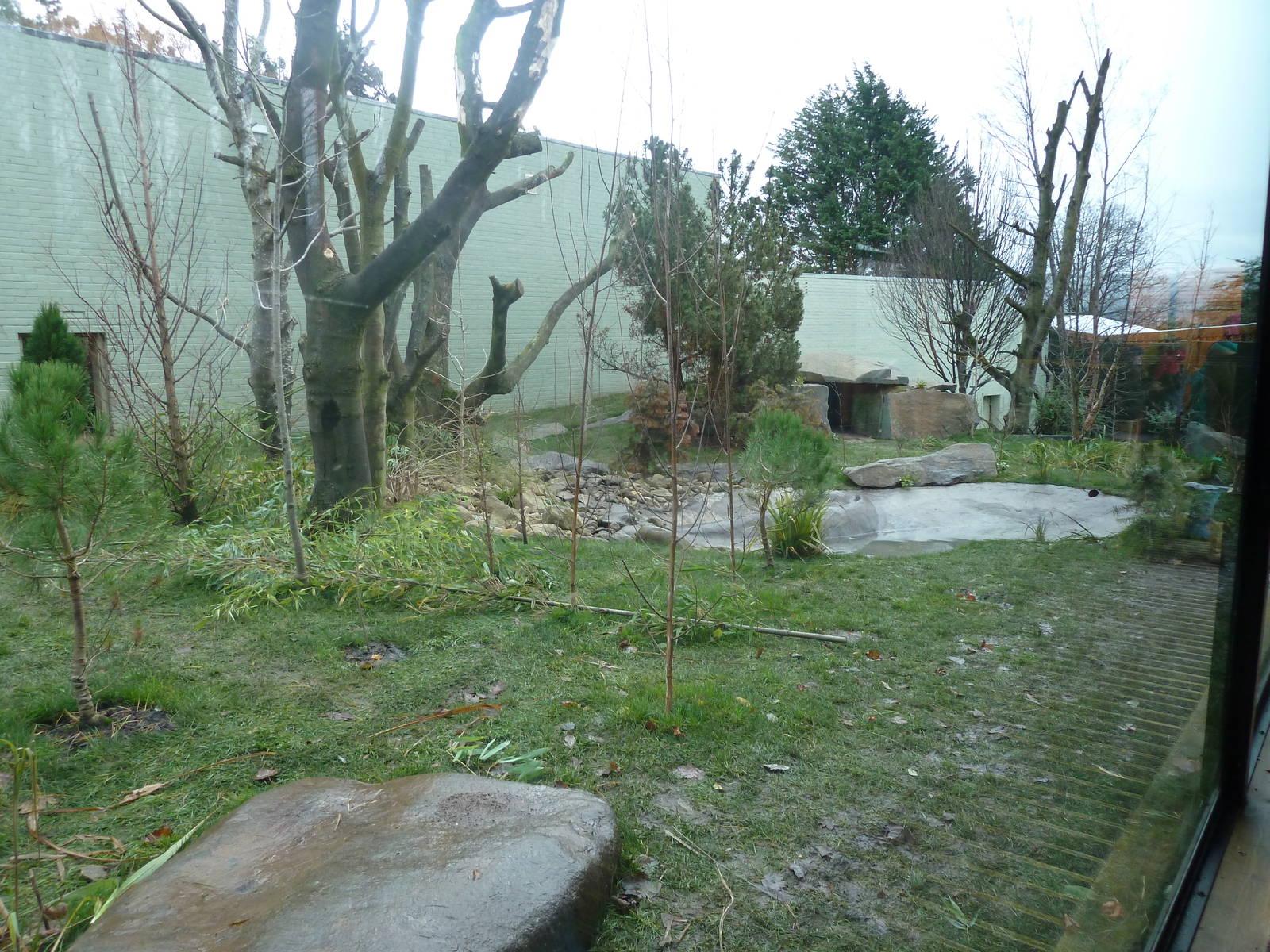 Panda Preview-outside