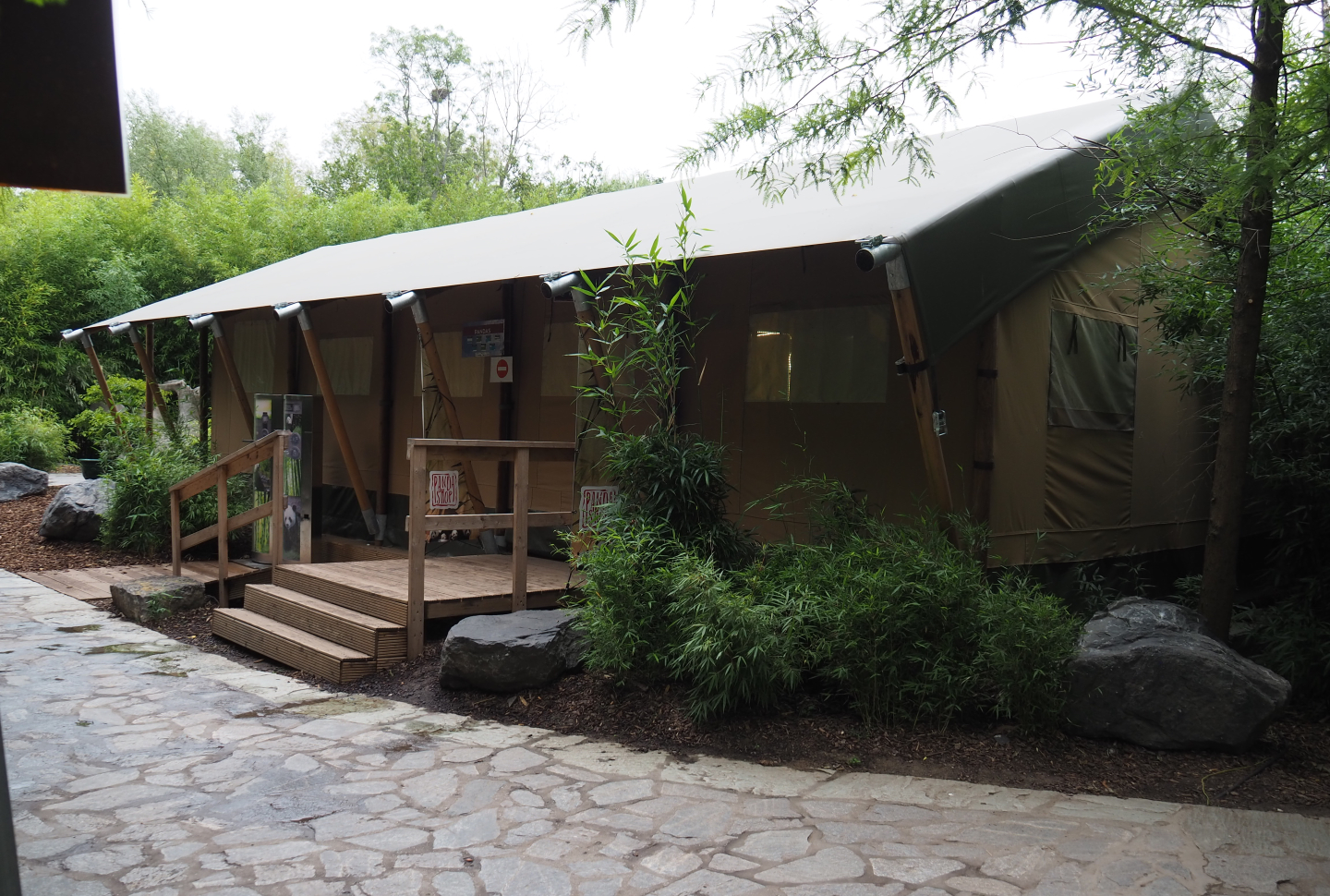 Panda shop tent, 2020-09-03