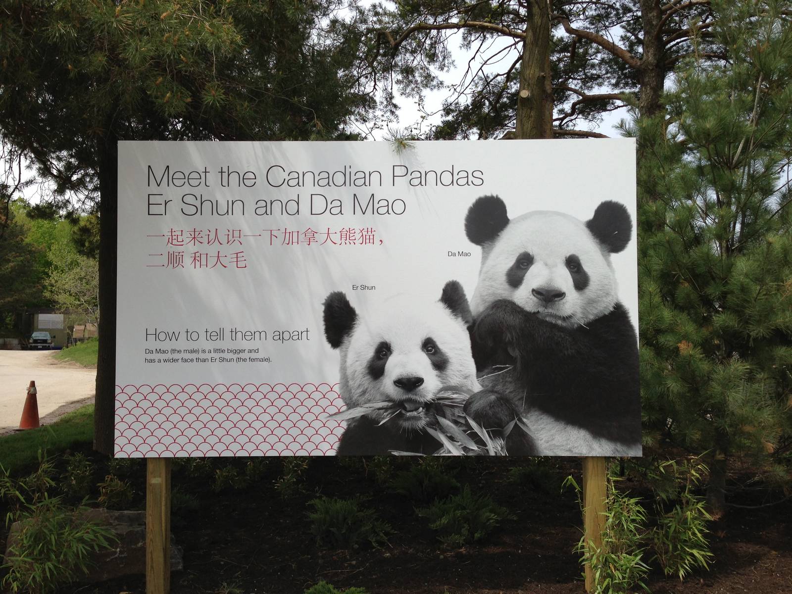Panda Signage