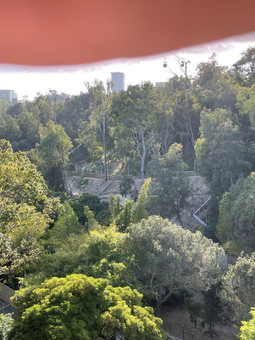 Panda Trek Construction 5/3/24