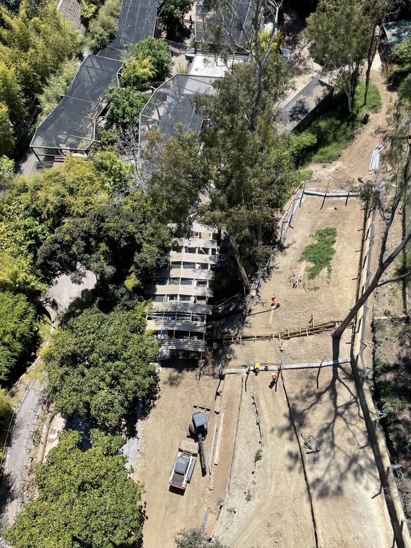 Panda Trek Construction 5/8/24