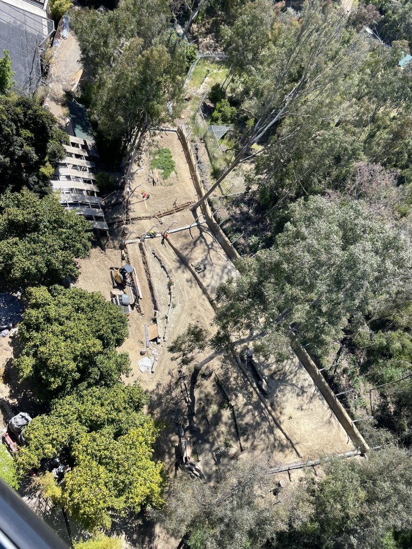 Panda Trek Construction 5/8/24