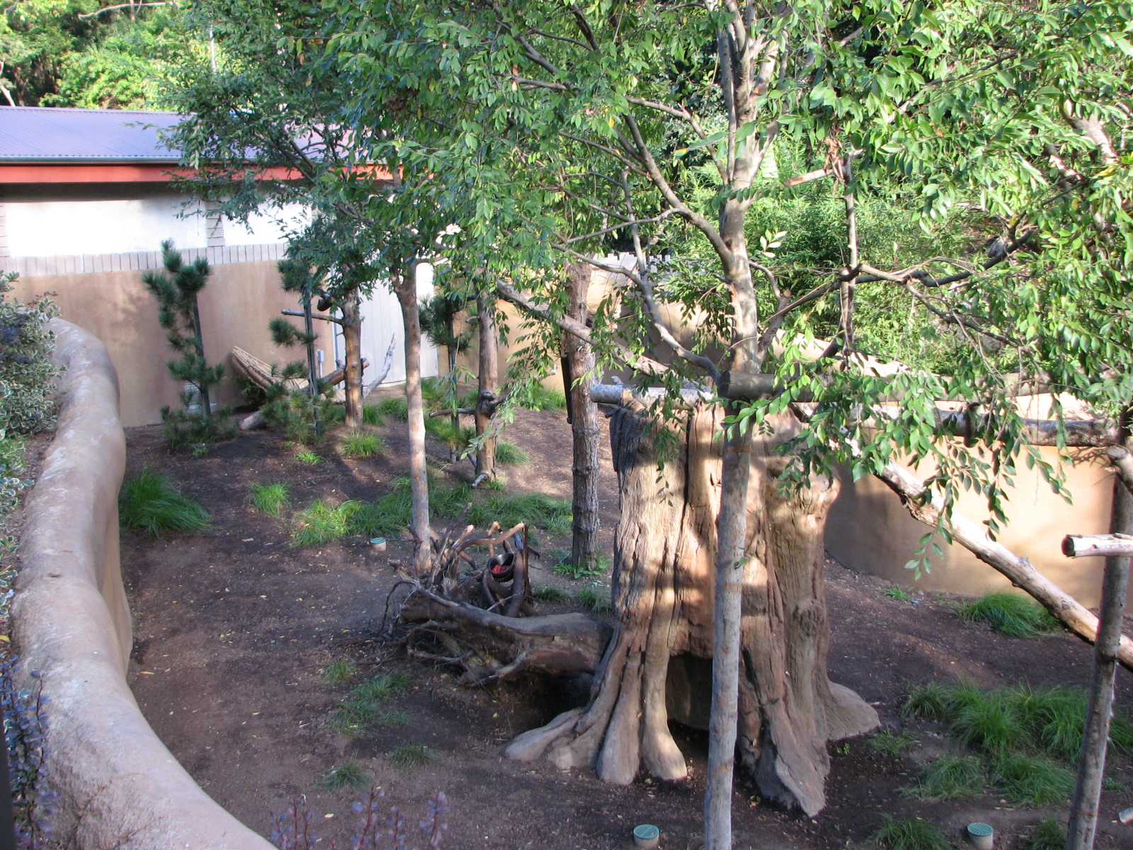 Panda Trek - Red Panda Exhibit