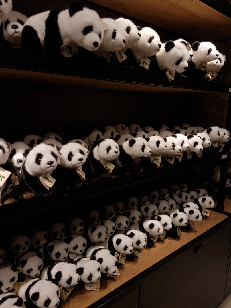 Pandas Pandas Pandas....