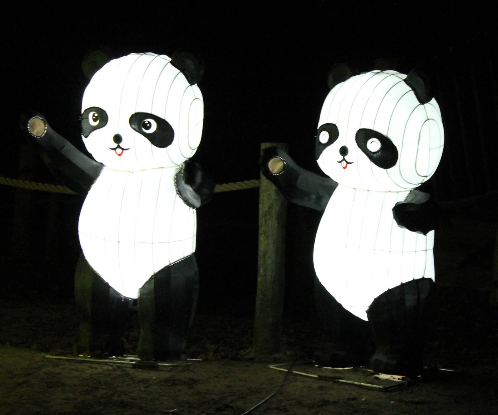 Pandas