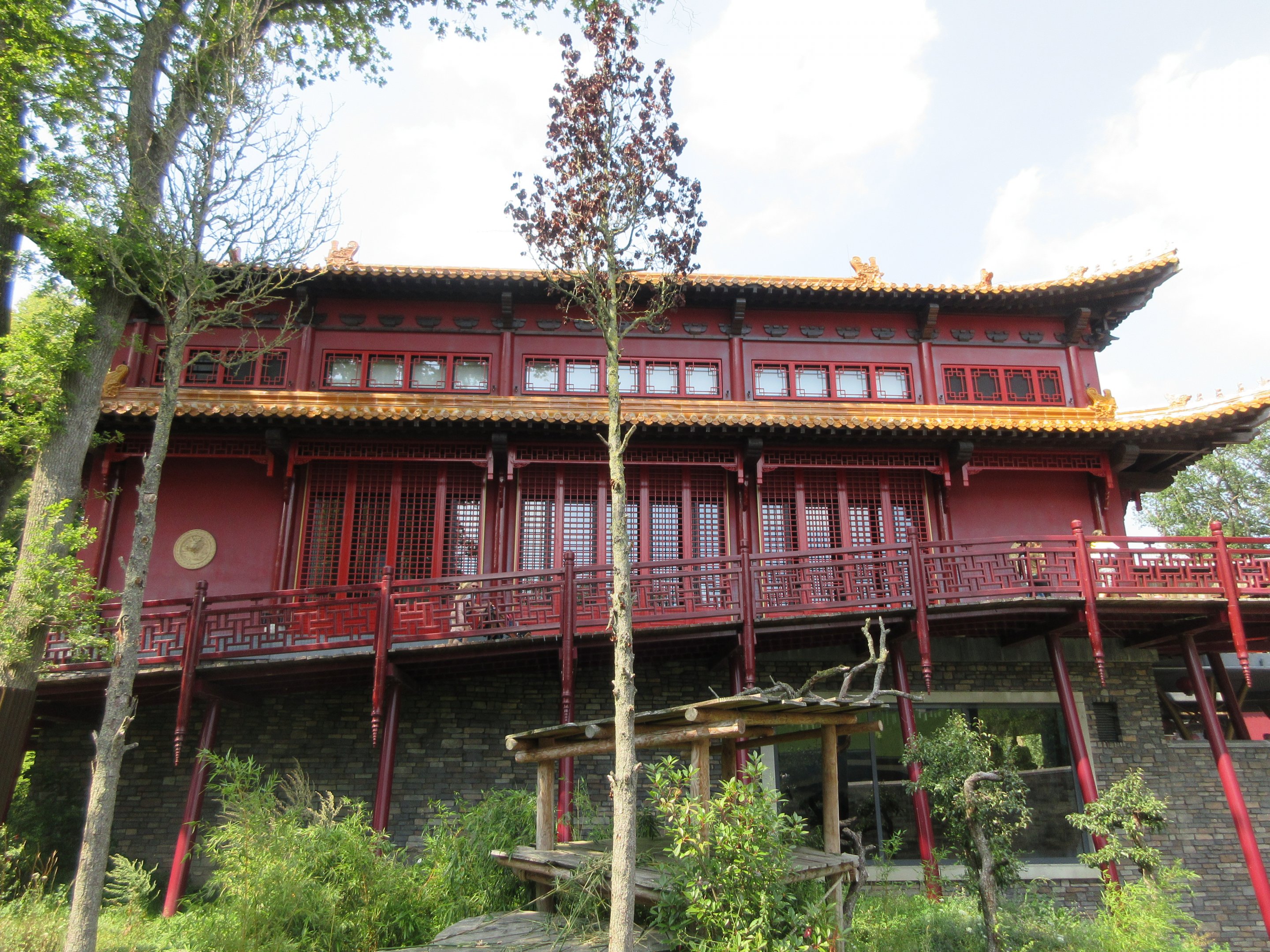 Pandasia - Giant Panda Complex