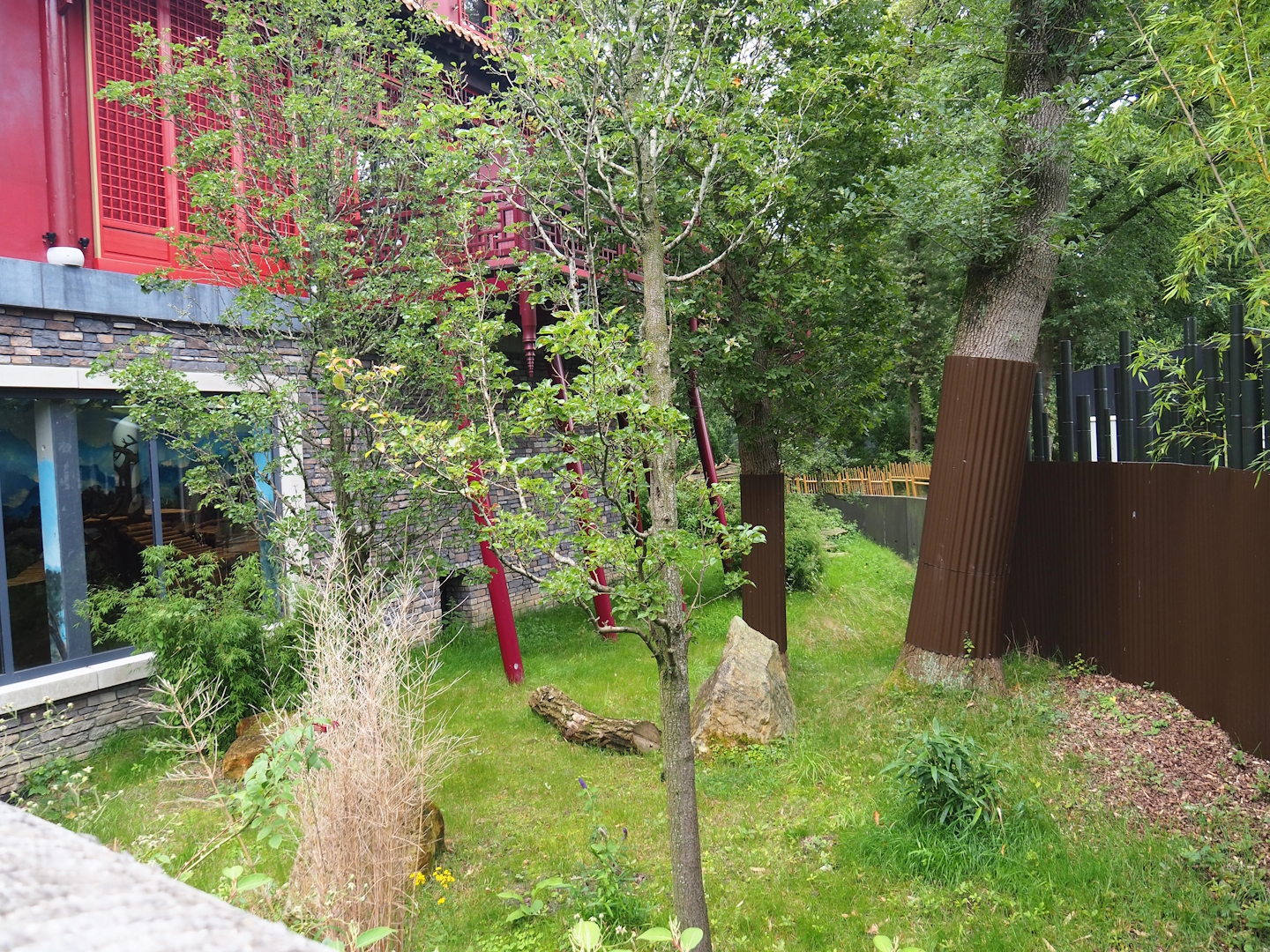 Pandasia - Outdoor exhibit, 2023-08-17