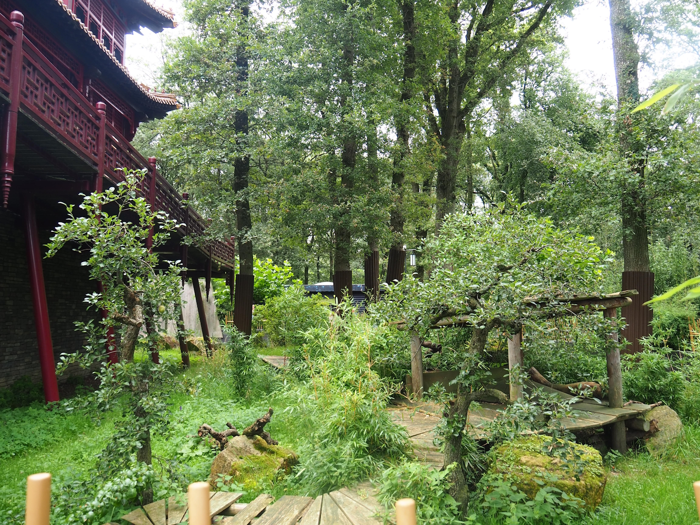 Pandasia - Outdoor exhibit, 2023-08-17