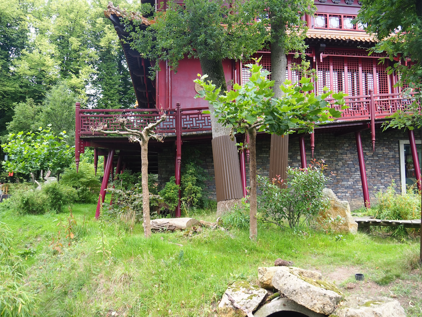 Pandasia - Outdoor exhibit and Giant panda and restaurant building, 2023-08-17