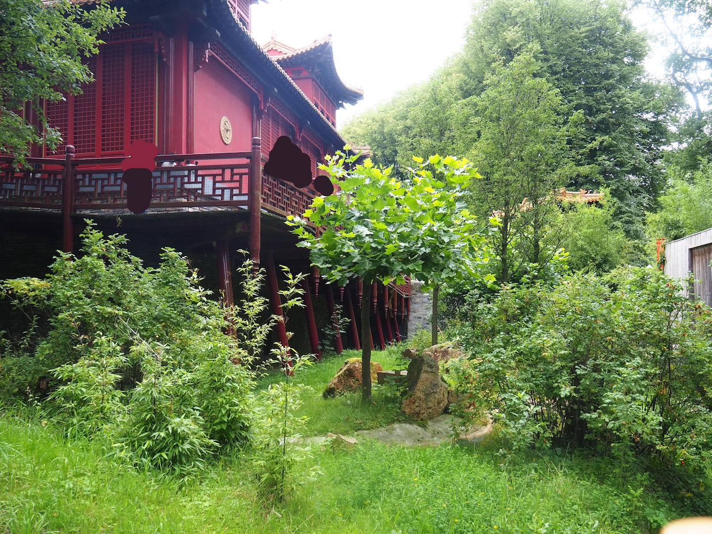 Pandasia - Outdoor exhibit and Giant panda and restaurant building, 2023-08-17