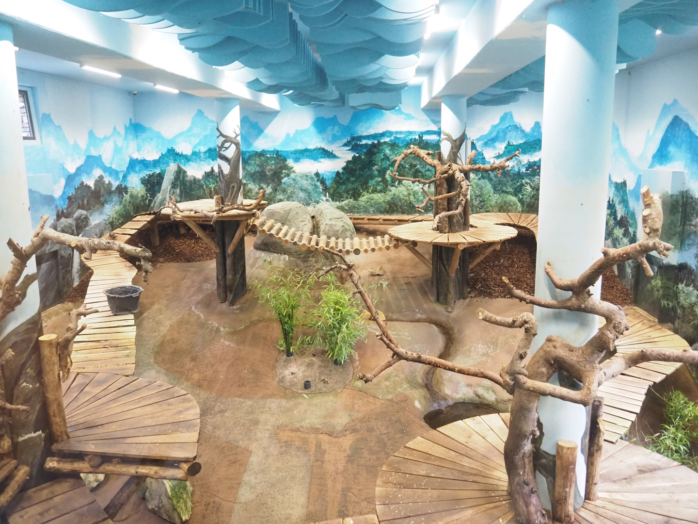 Pandasia - Second giant panda indoor exhibit, 2023-08-17