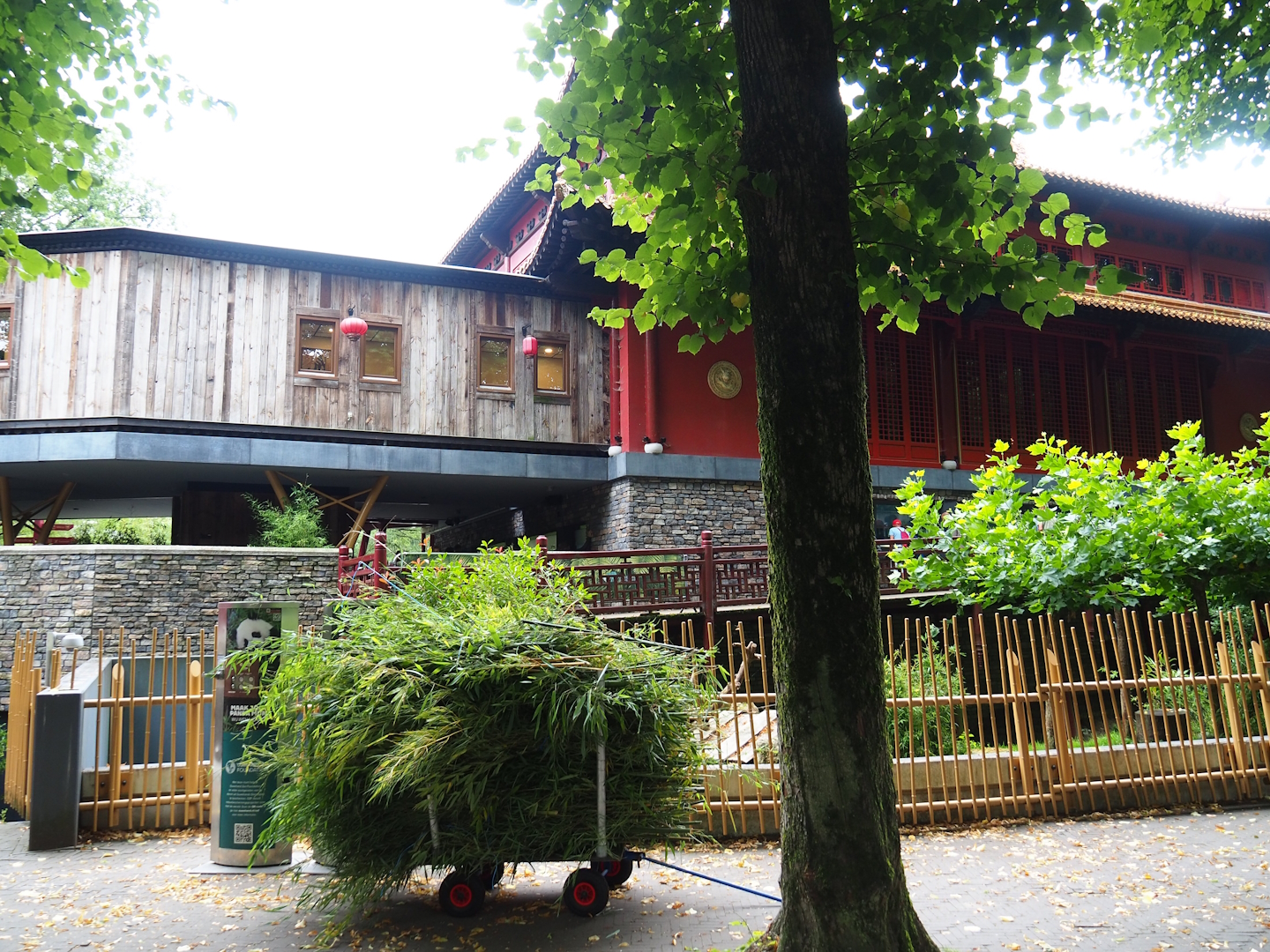 Pandasia - View of backside of Giant panda and restaurant building and connecting building to gift shop, 2023-08-17