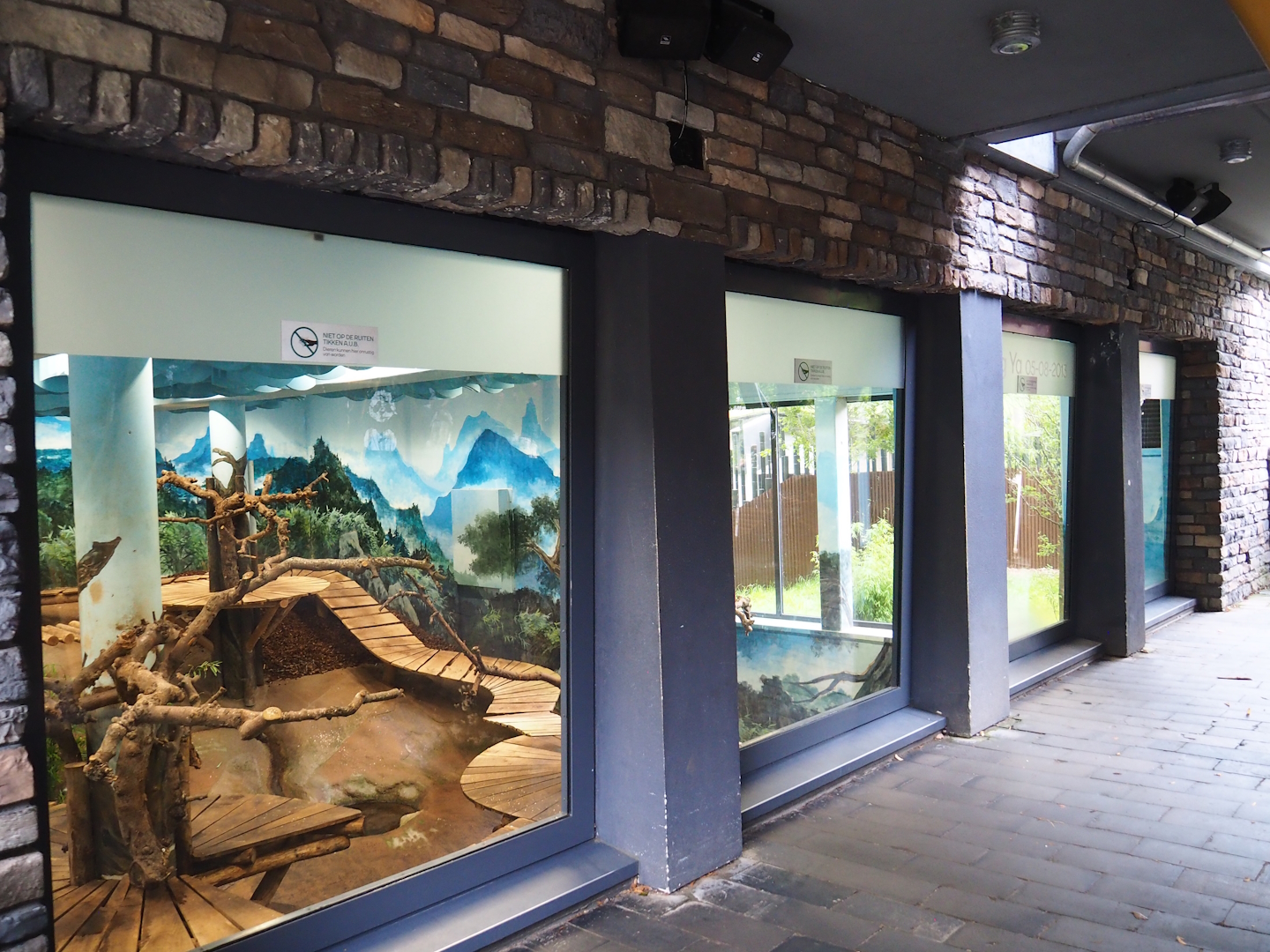 Pandasia - Viewing windows for indoor exhibit, 2023-08-17