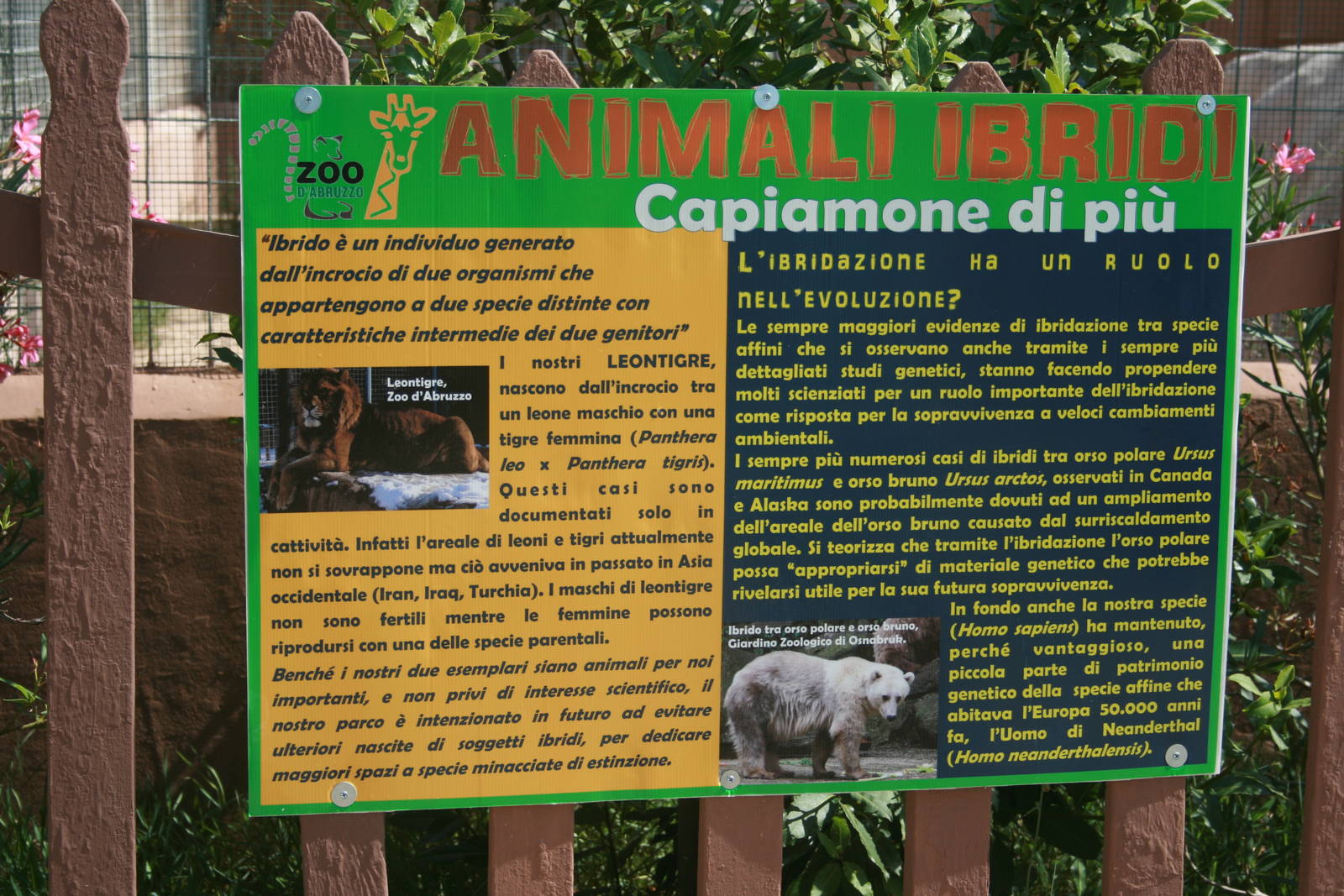 Panel on hybridization