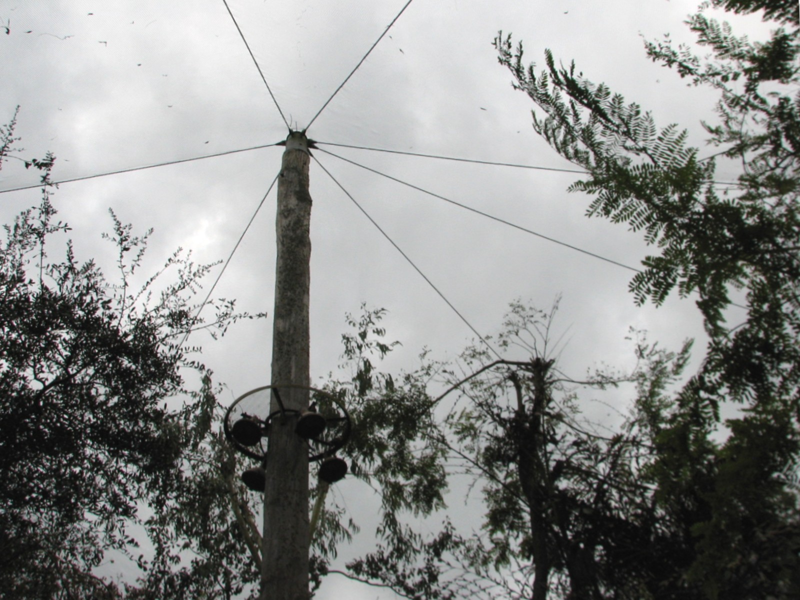 Pangani Forest Exploration Trail - Aviary